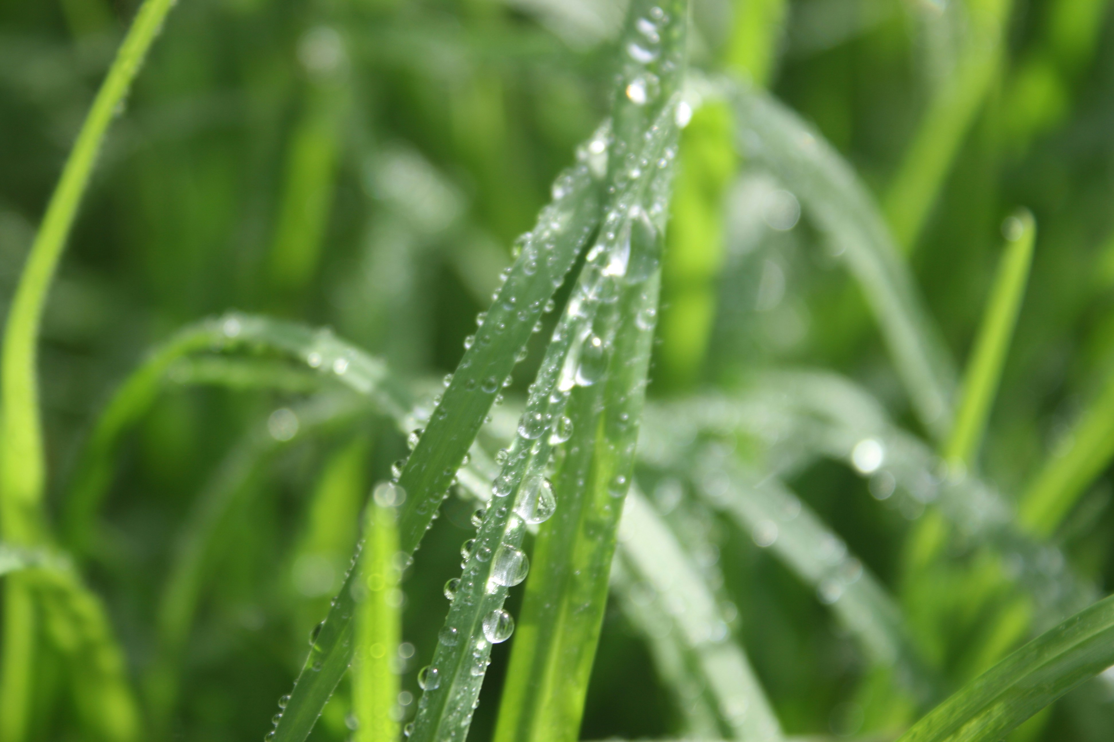 Photo by insert_username_here__