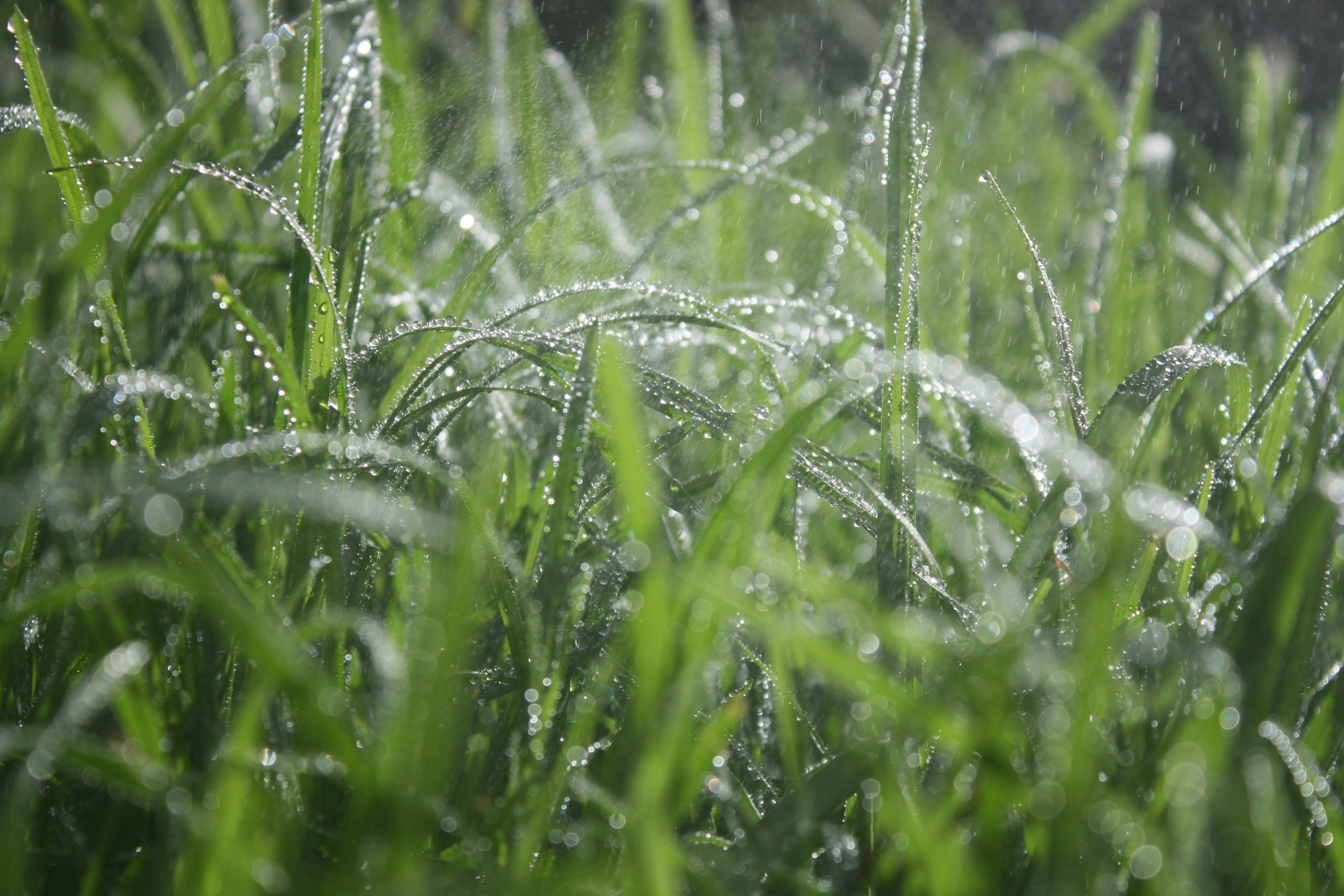 Photo by insert_username_here__