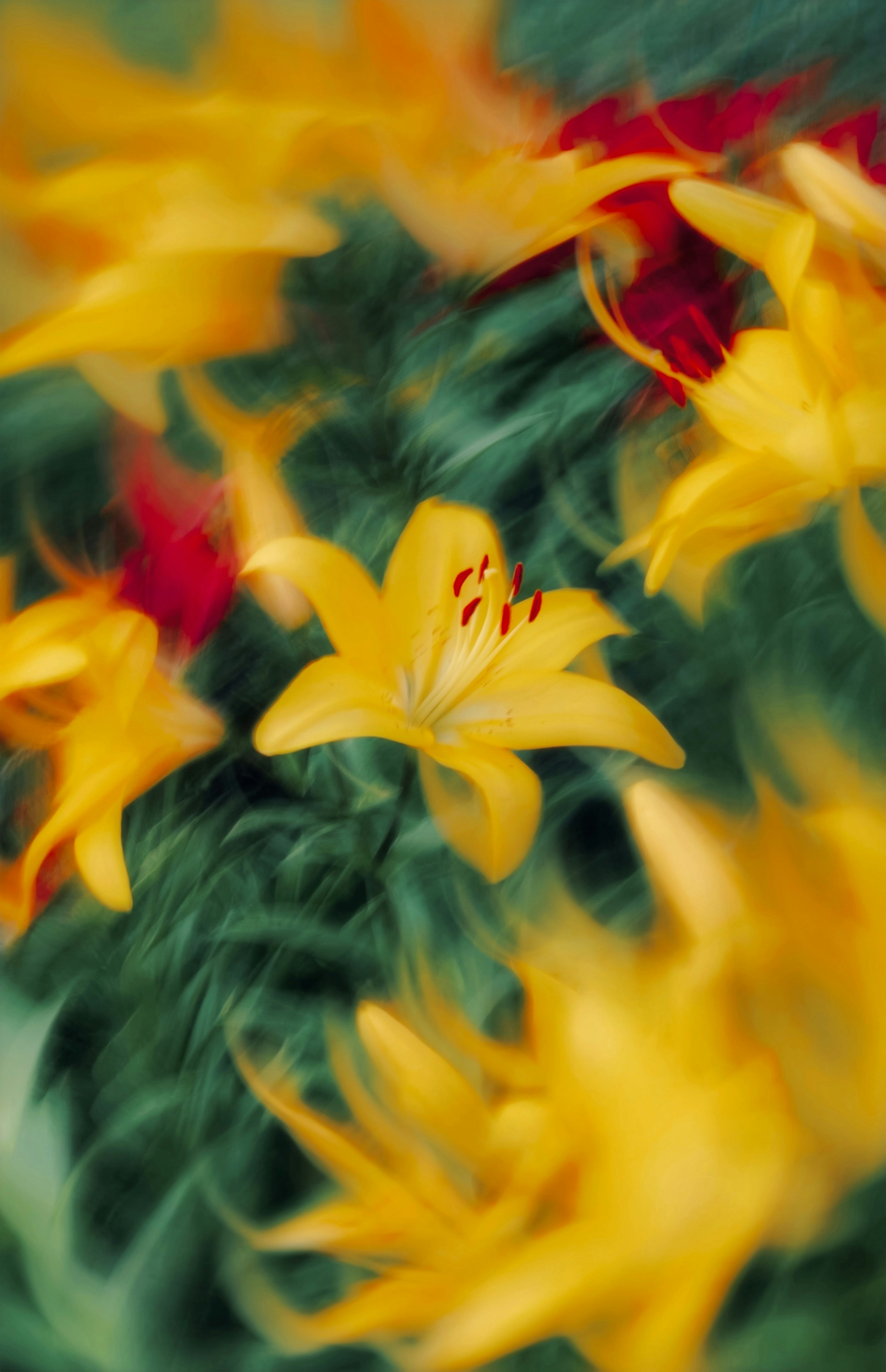 Photo by eugene_golovesov