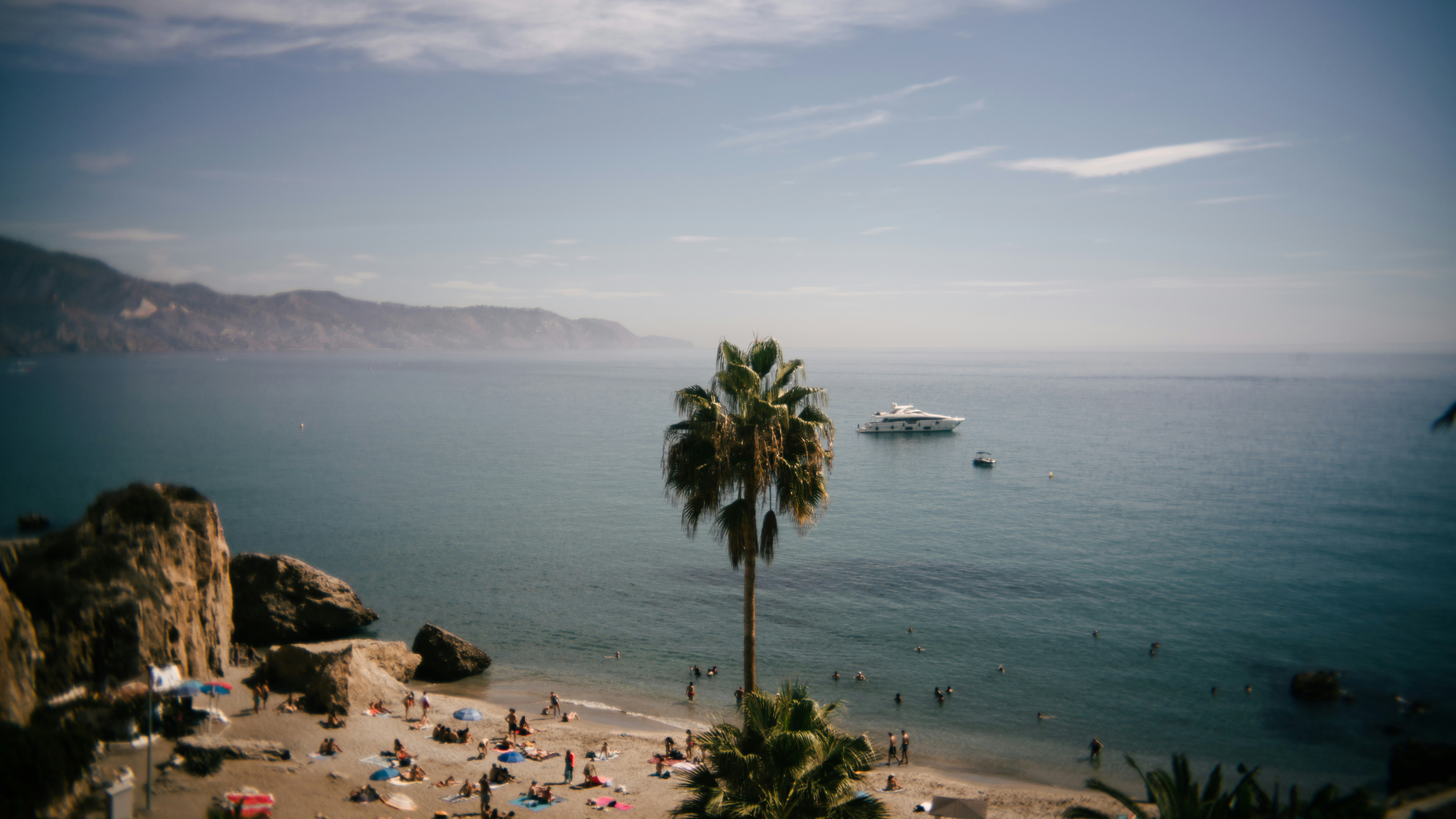 Palm tree overlooks a beach, sea, and mountains.