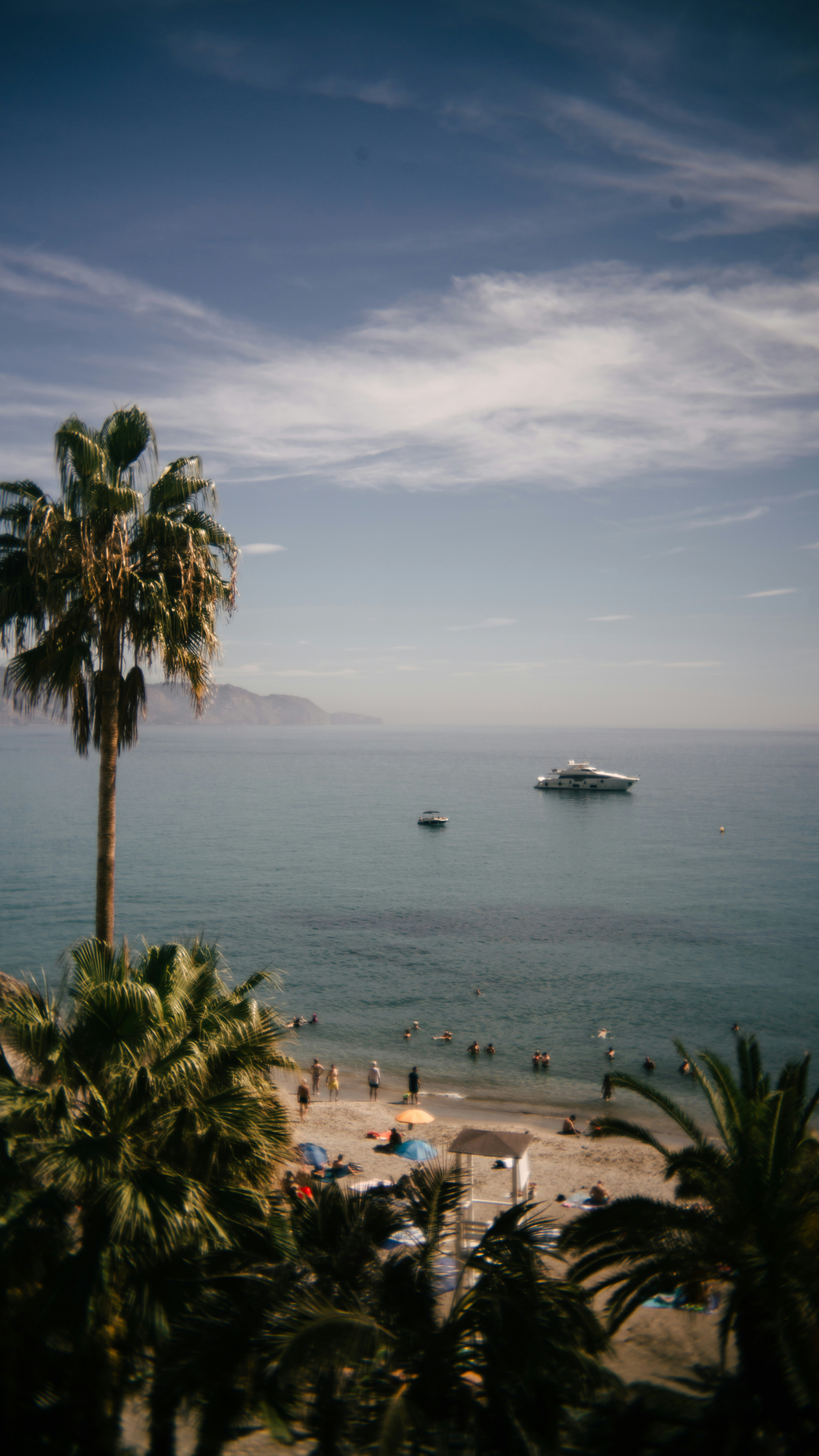 Beach view with palm trees and boats.