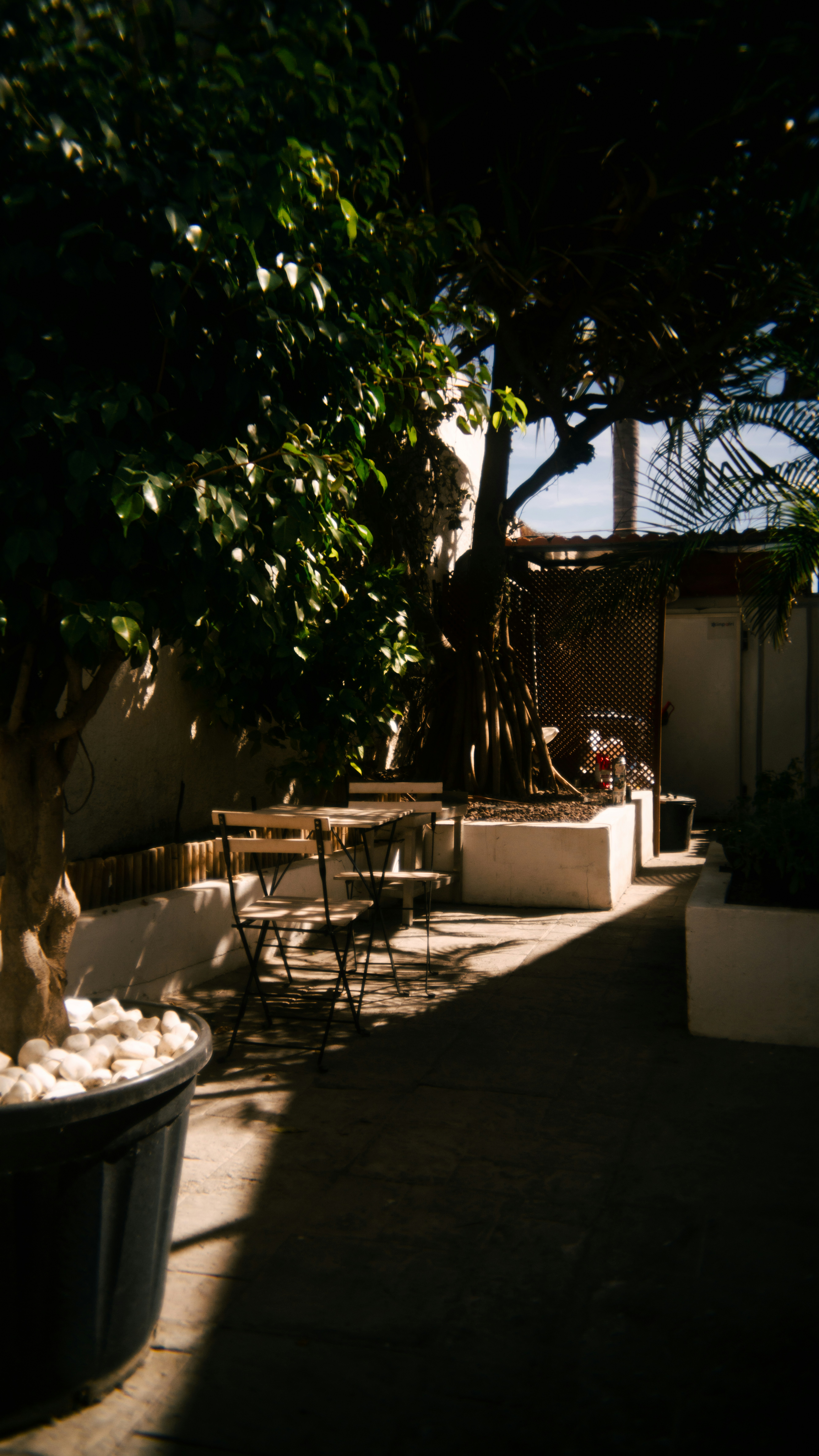 A shady patio with table and chairs.
