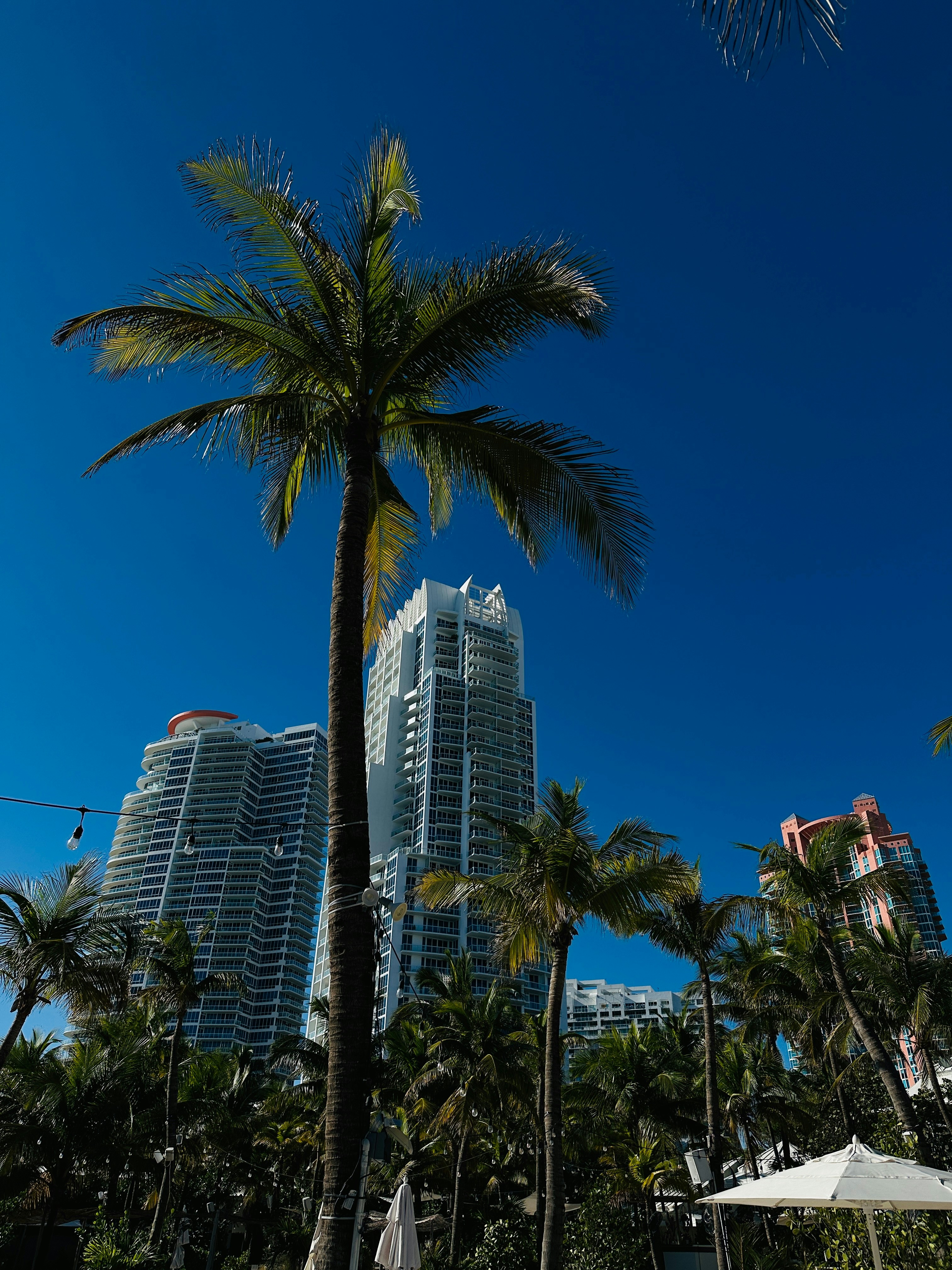 Photo by assenkardashian