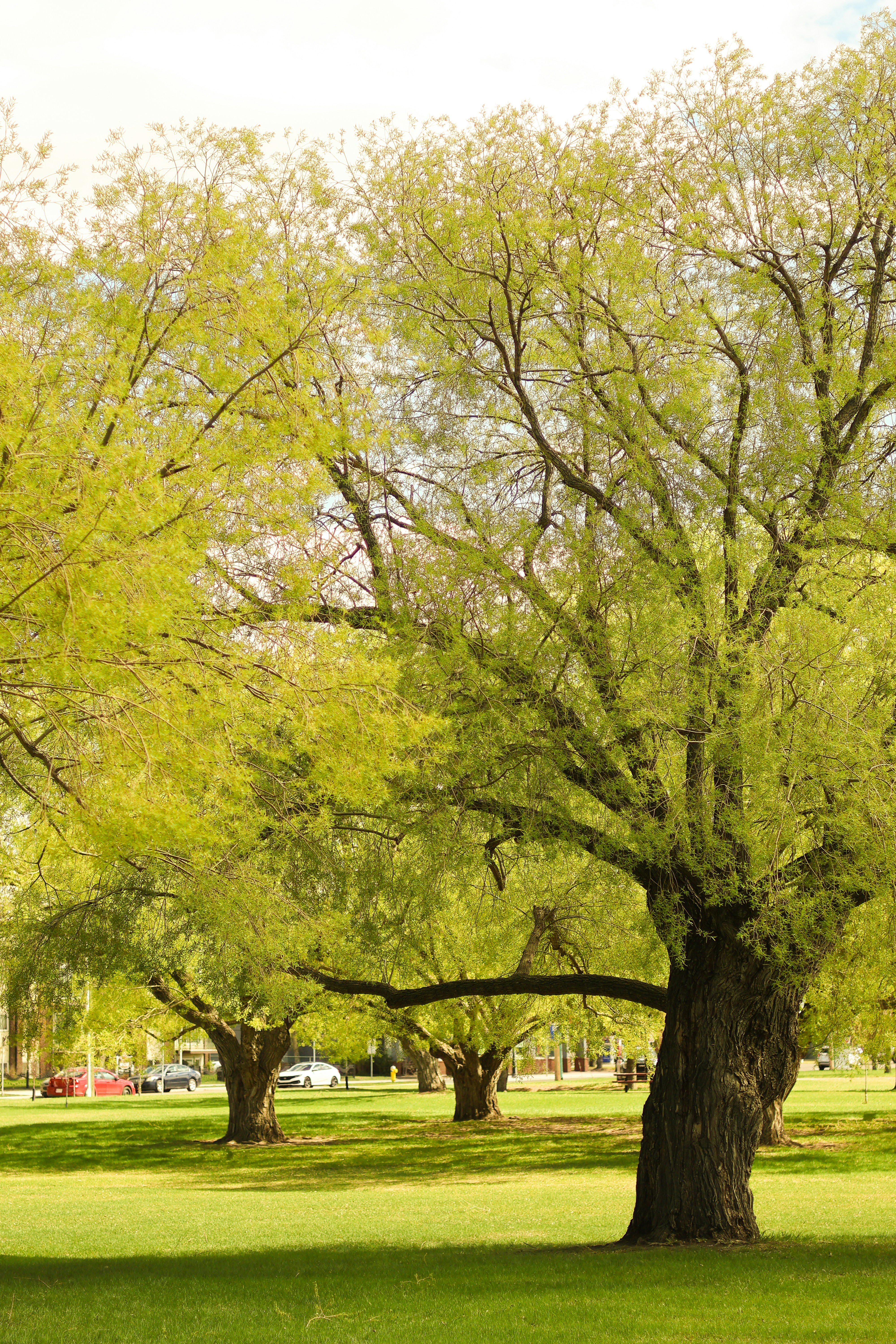 Photo by teerapat213