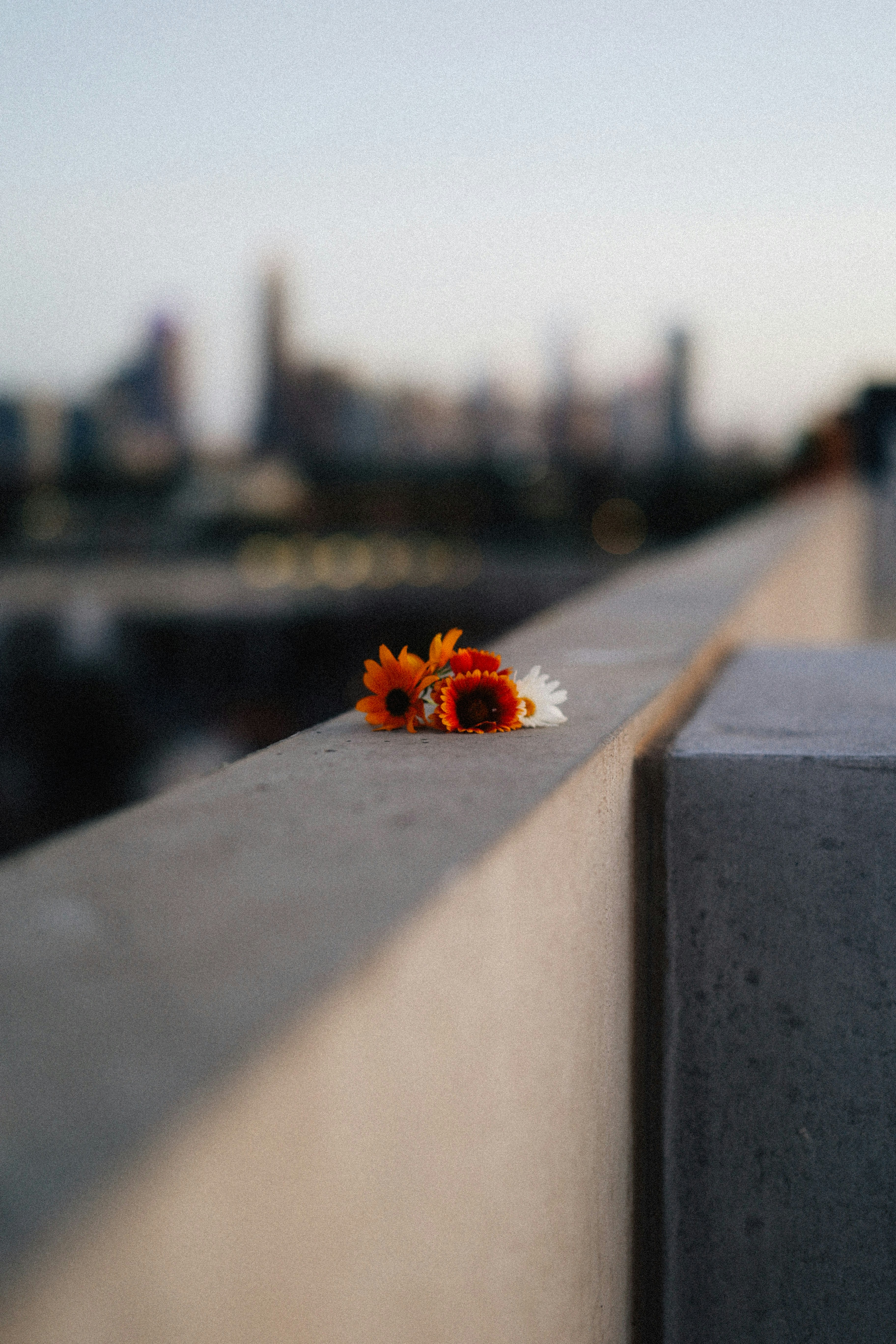 Bitcoin On-Chain Confluence Check: SOPR, MVRV-Z, and Realised Ratio Remain Stable