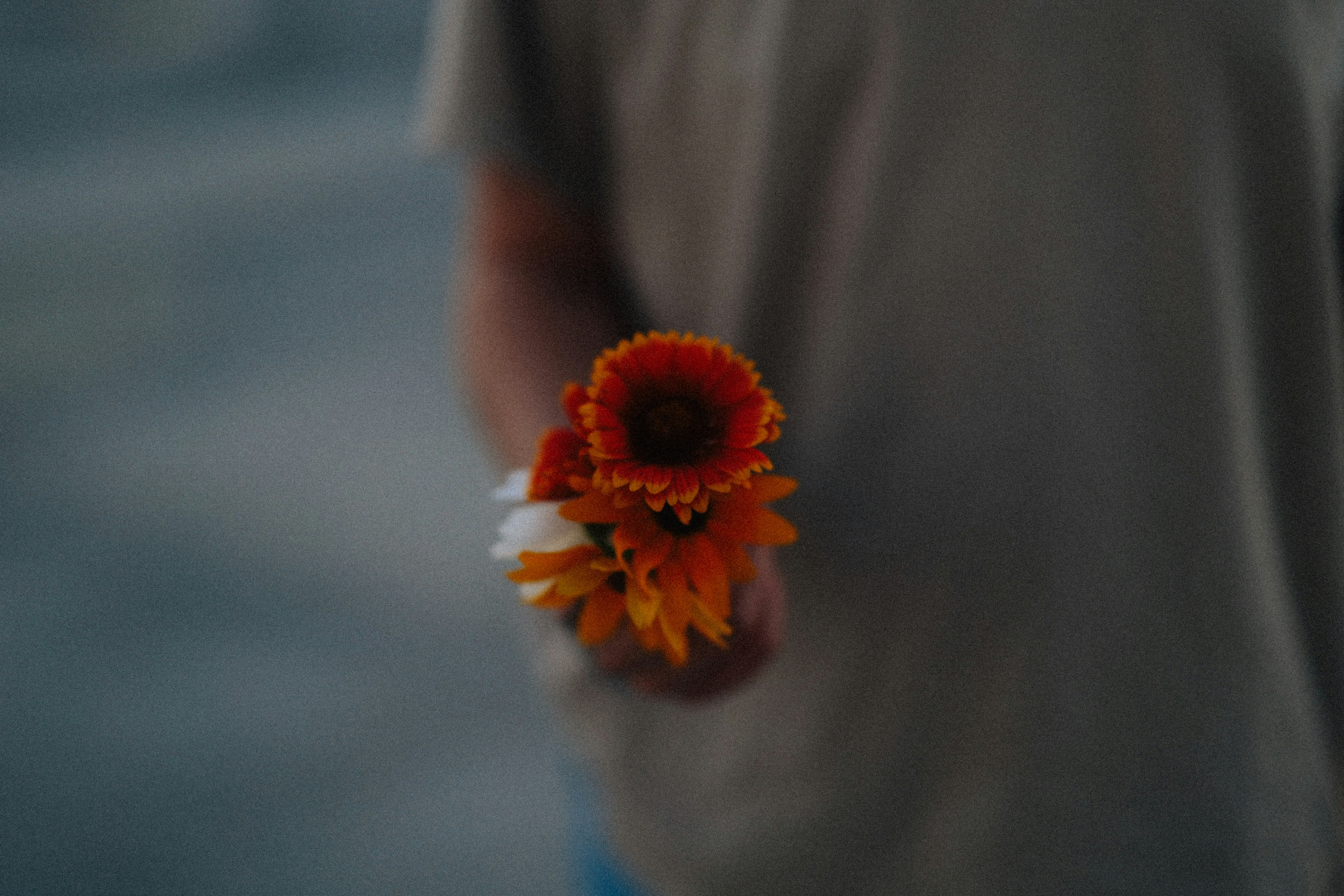 Photo by brookebalentine