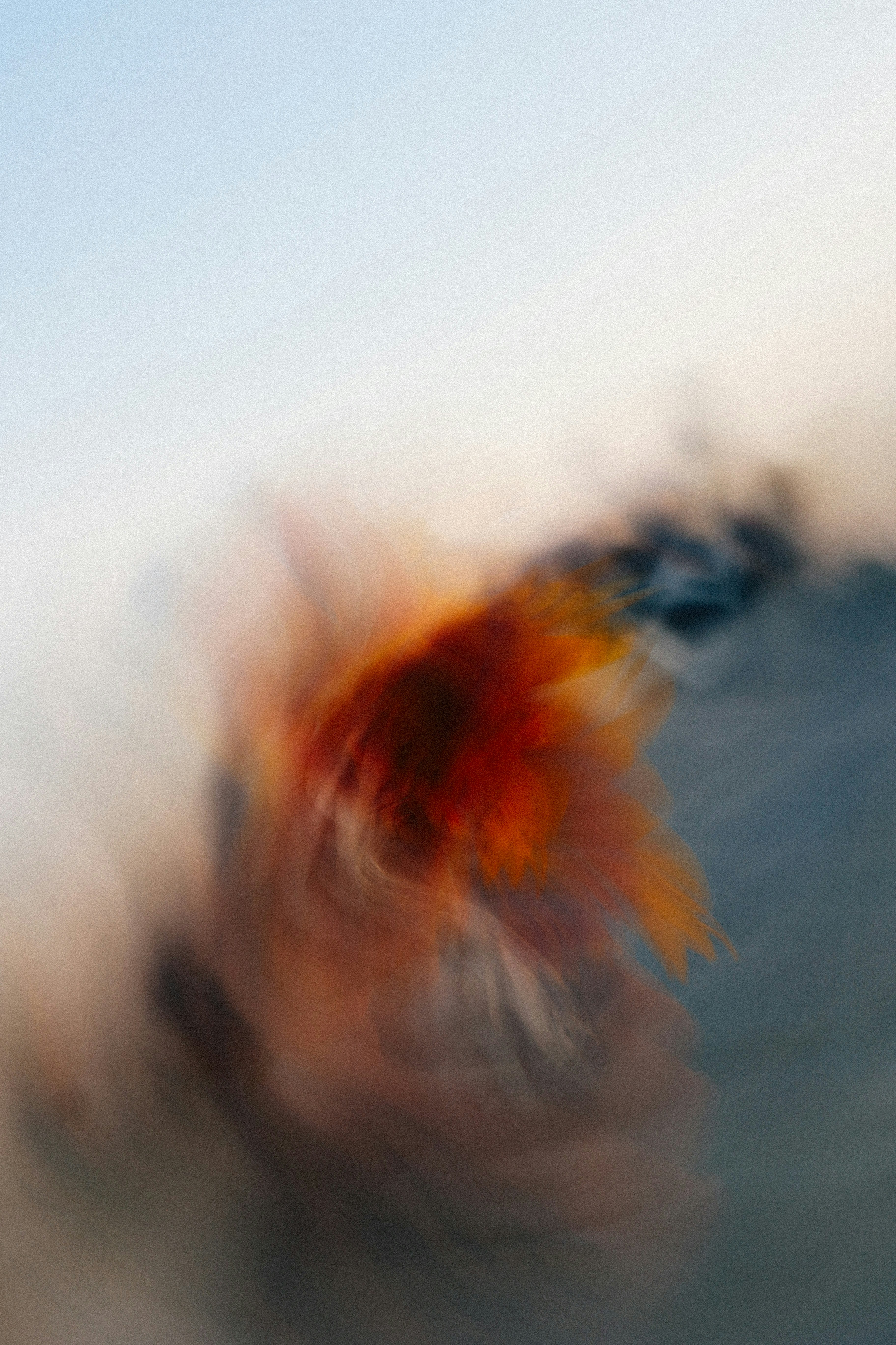 Photo by brookebalentine