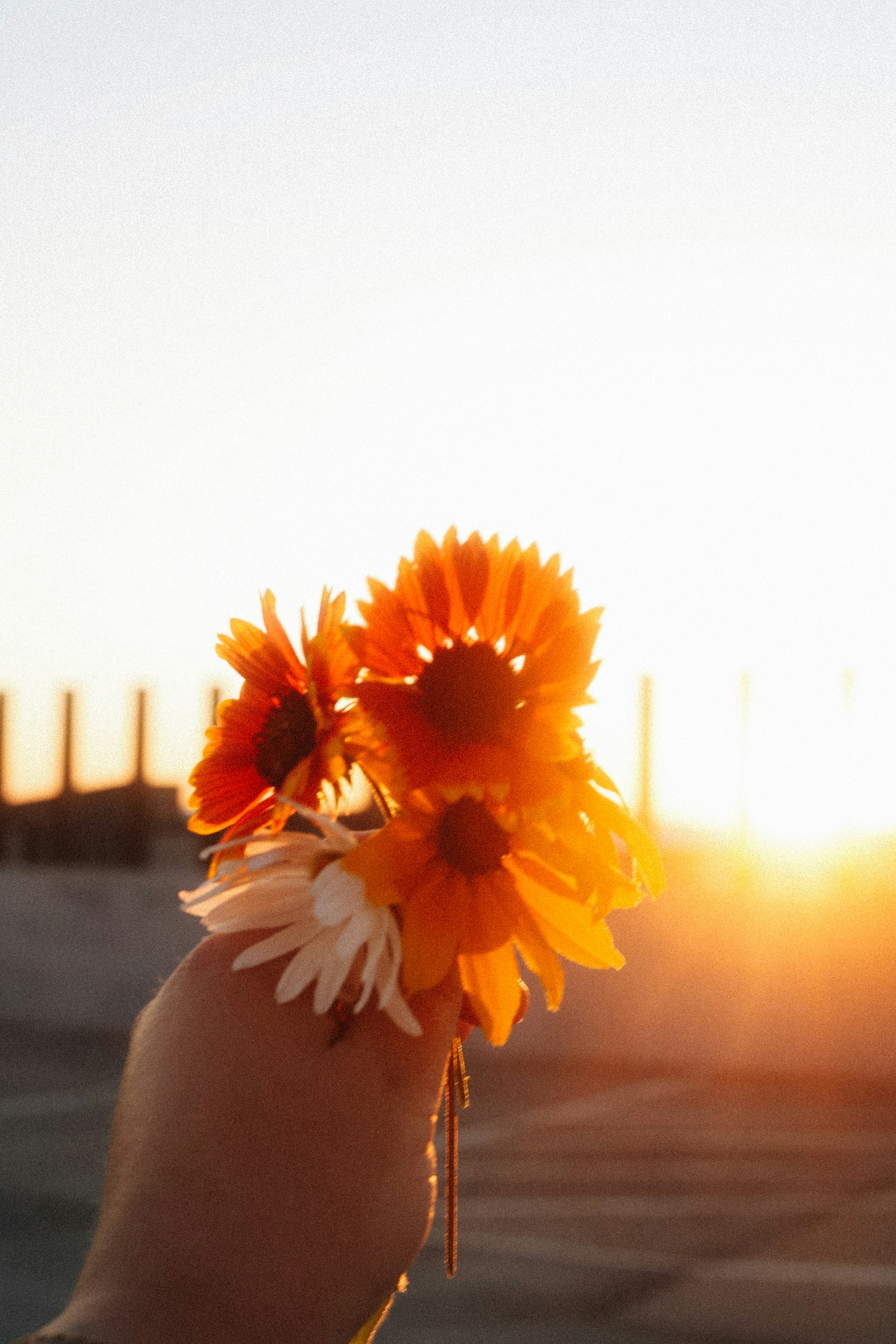 Photo by brookebalentine