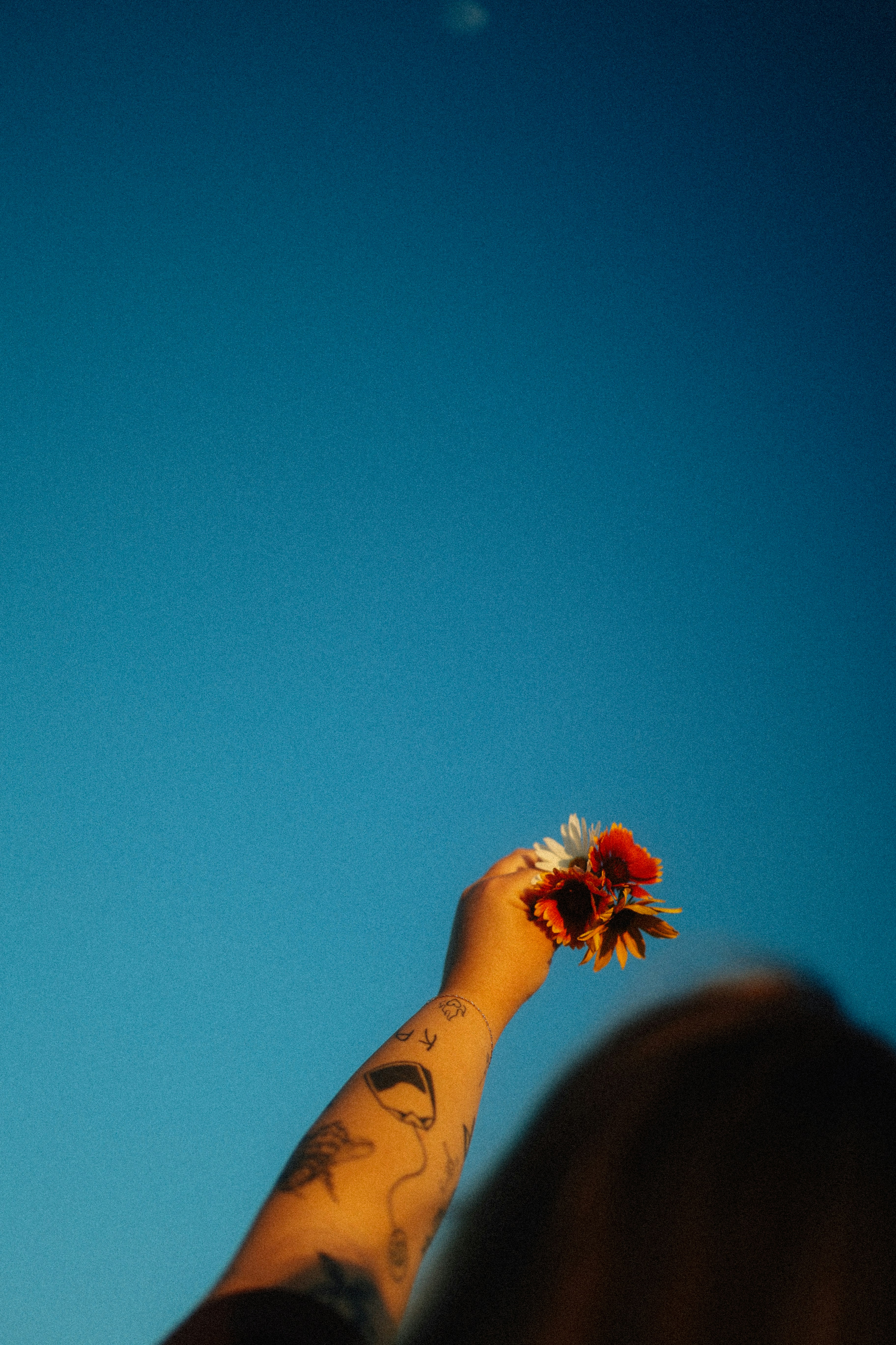 Photo by brookebalentine