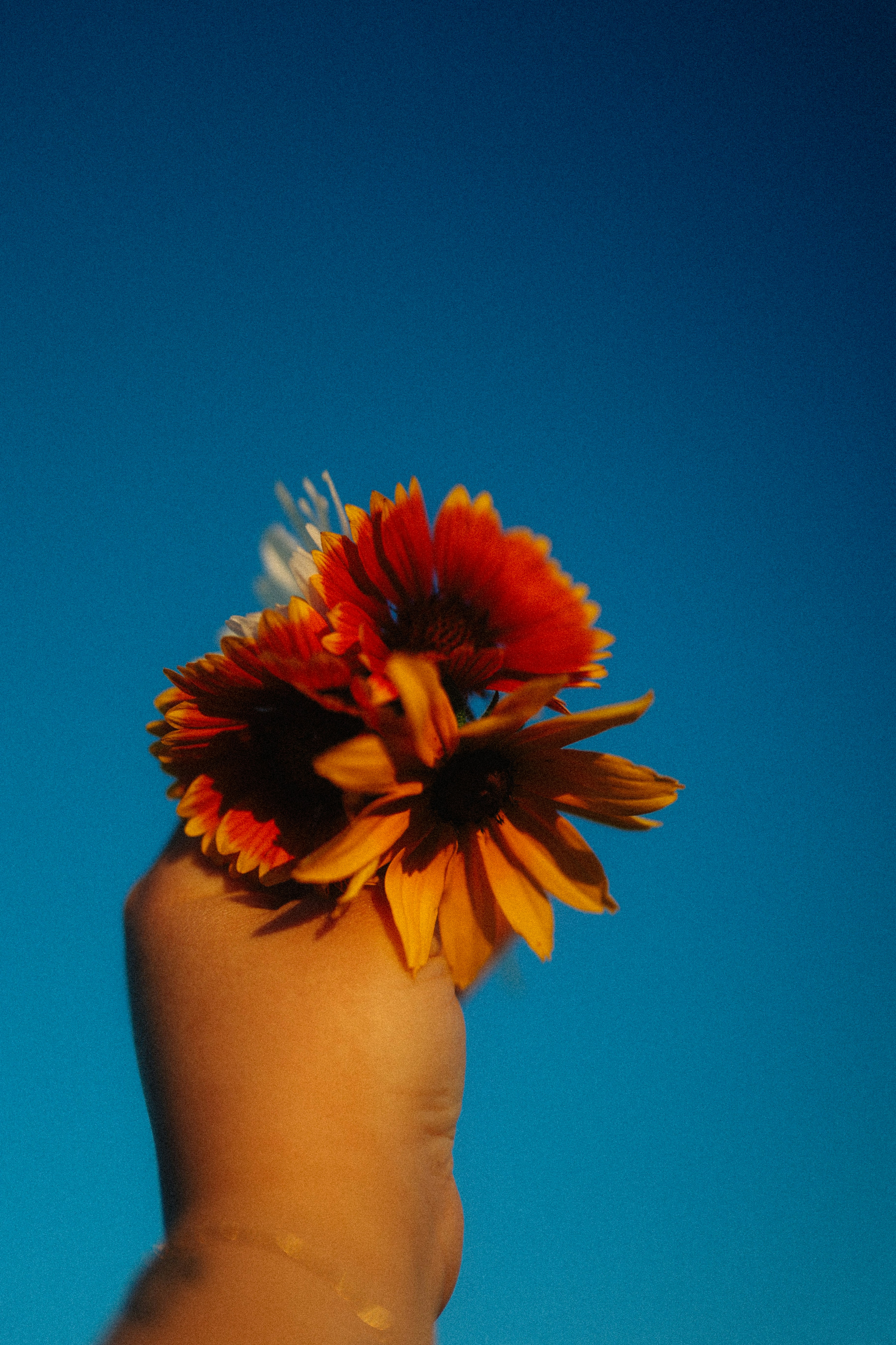 Photo by brookebalentine