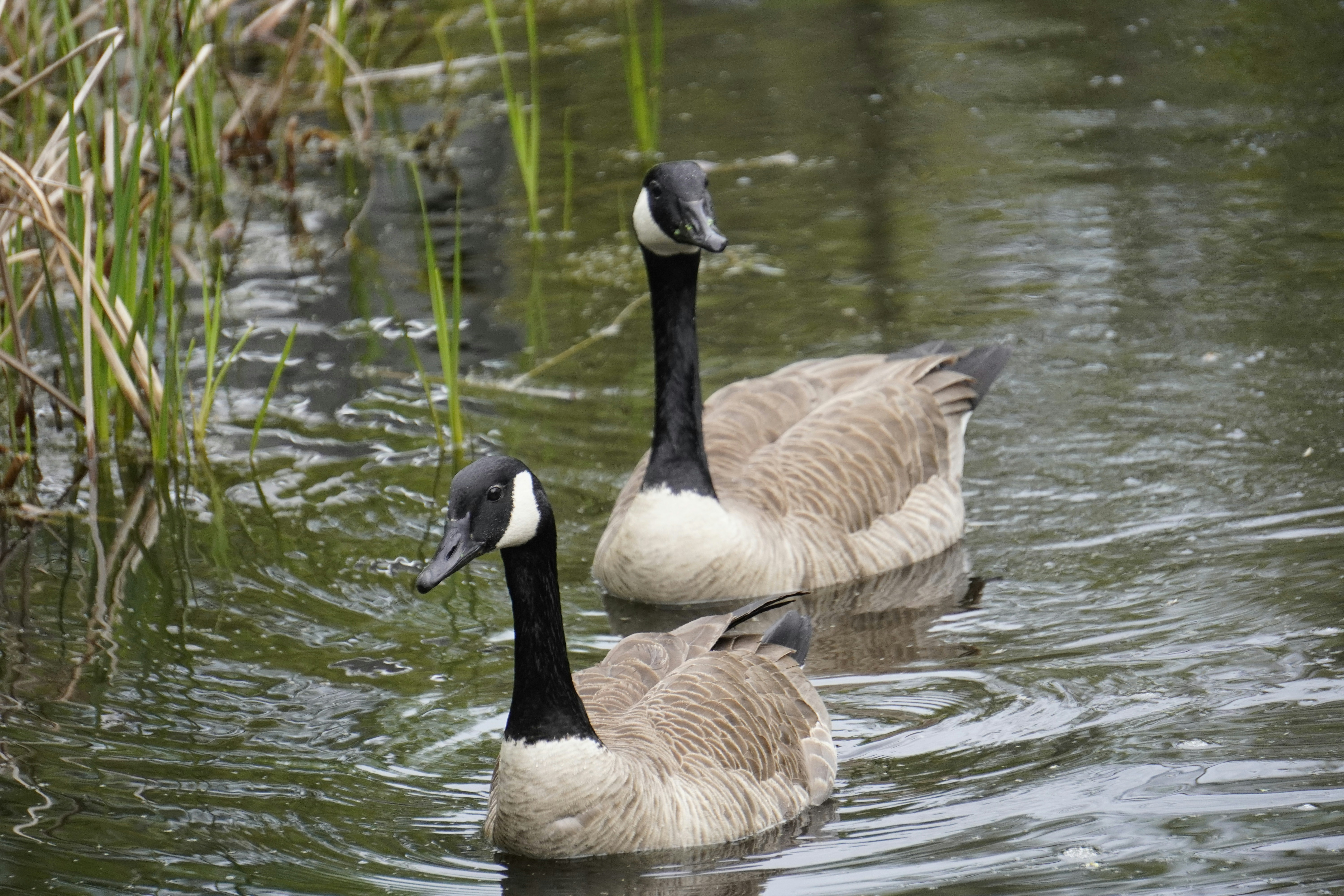 Photo by tellophotography