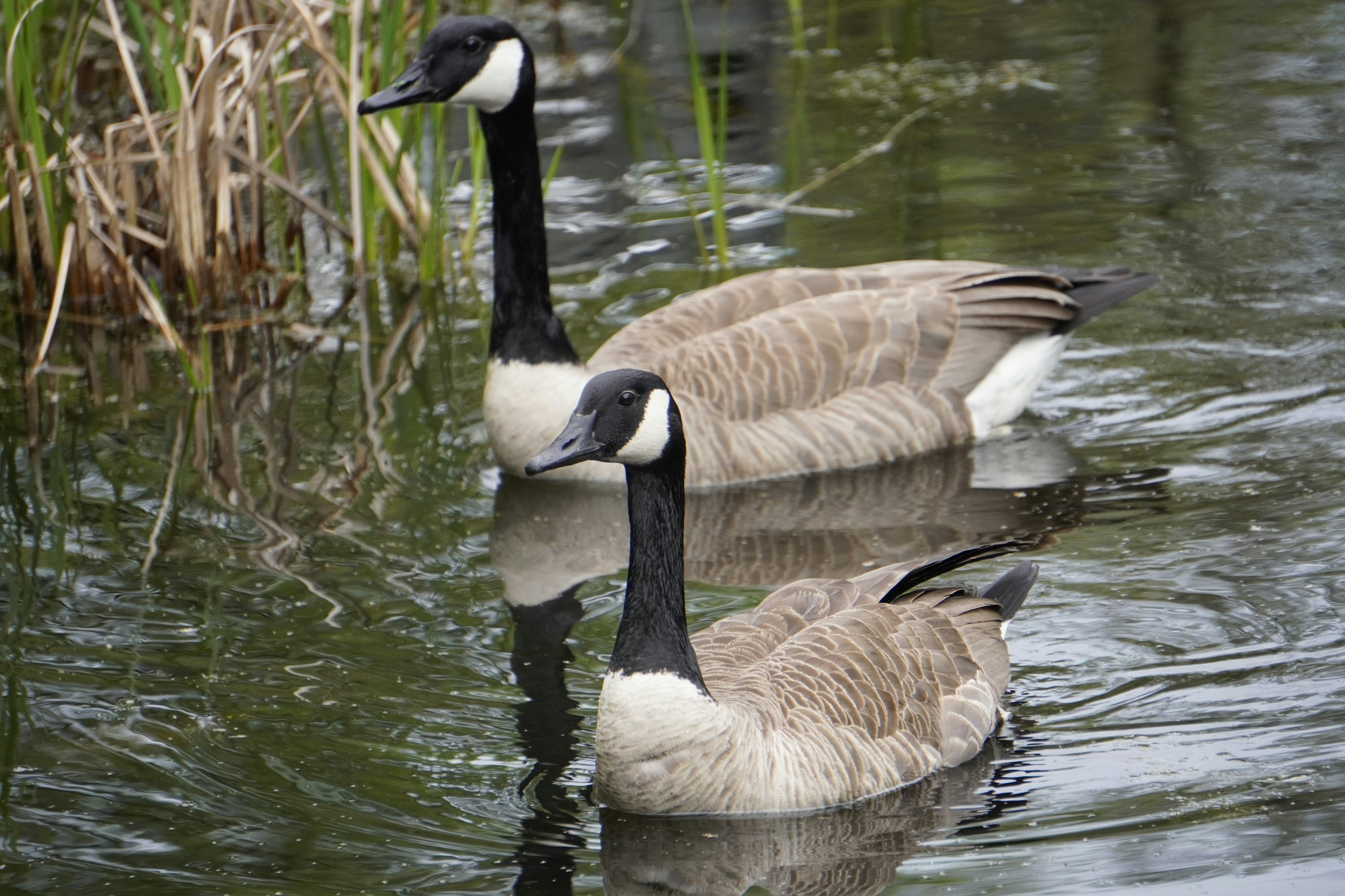 Photo by tellophotography