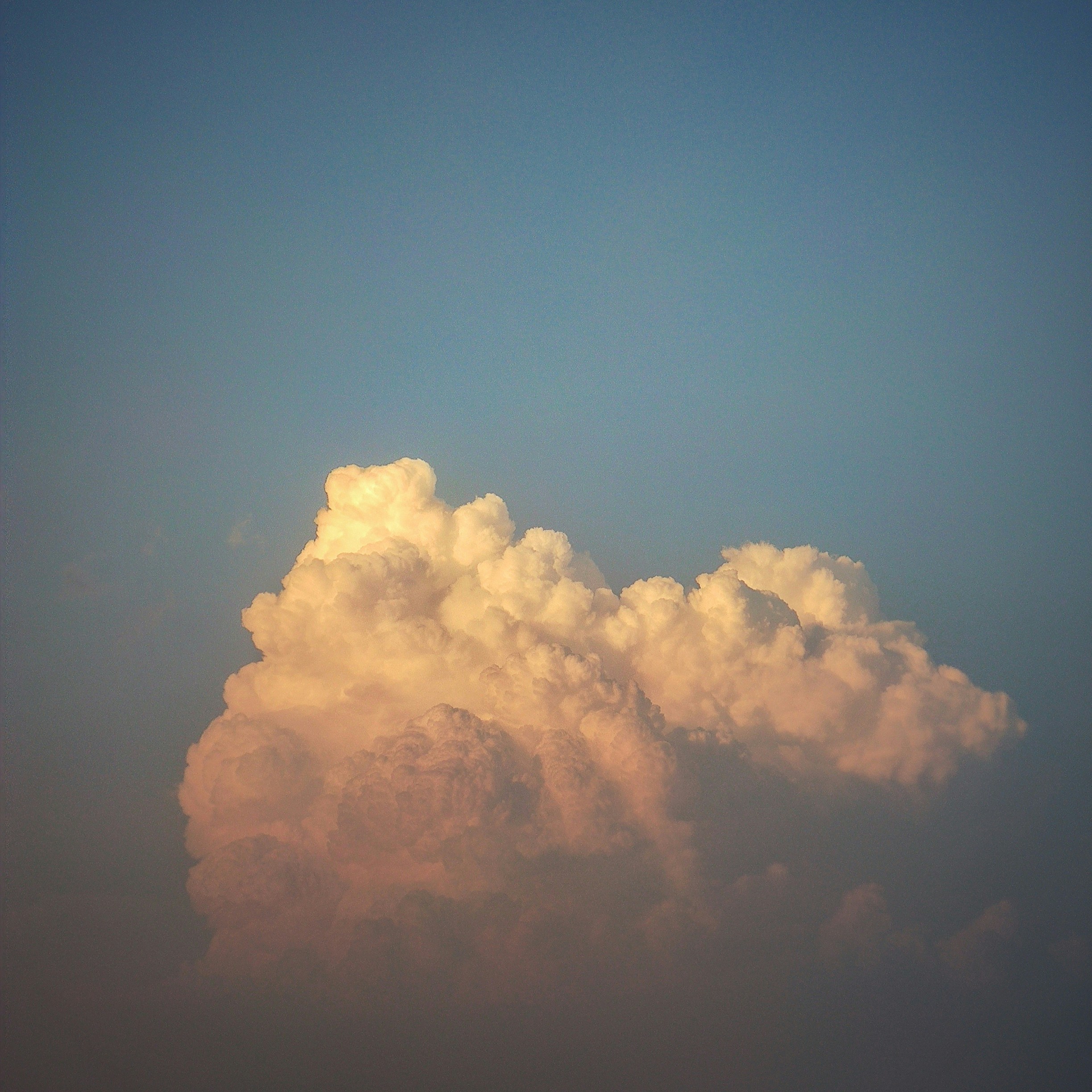 Photo by nikhilnik390