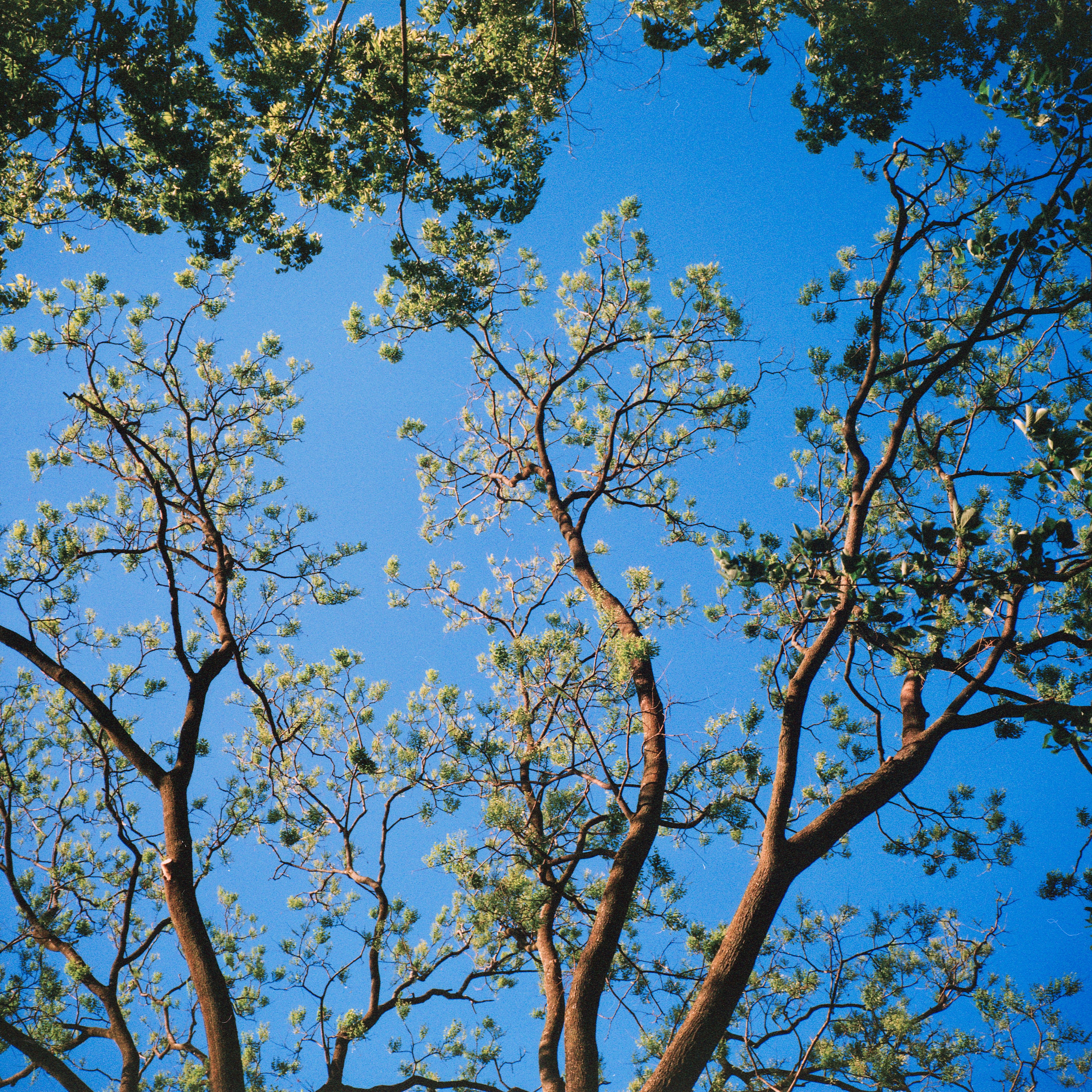 Photo by doudouxieonline