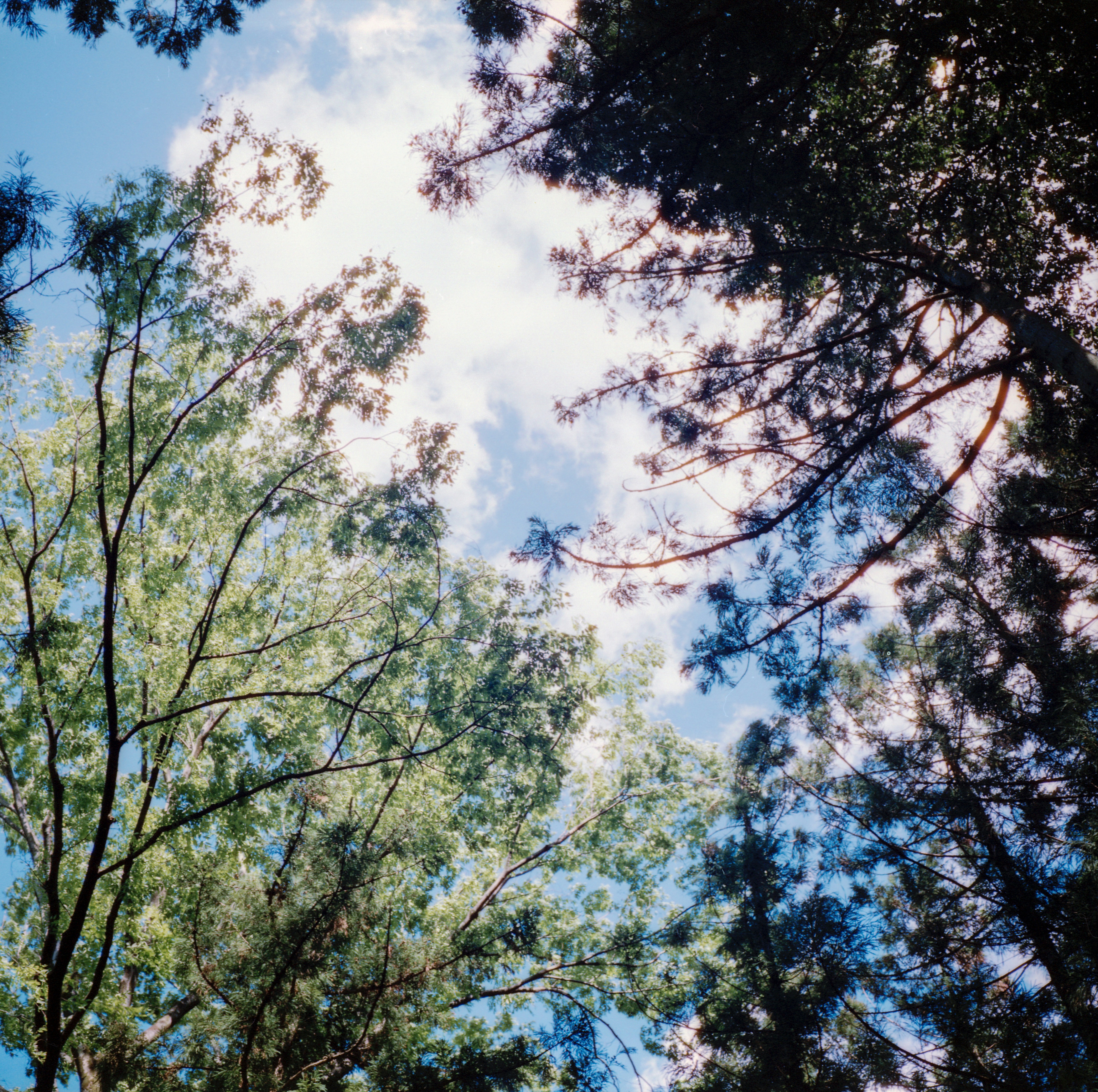 Photo by doudouxieonline