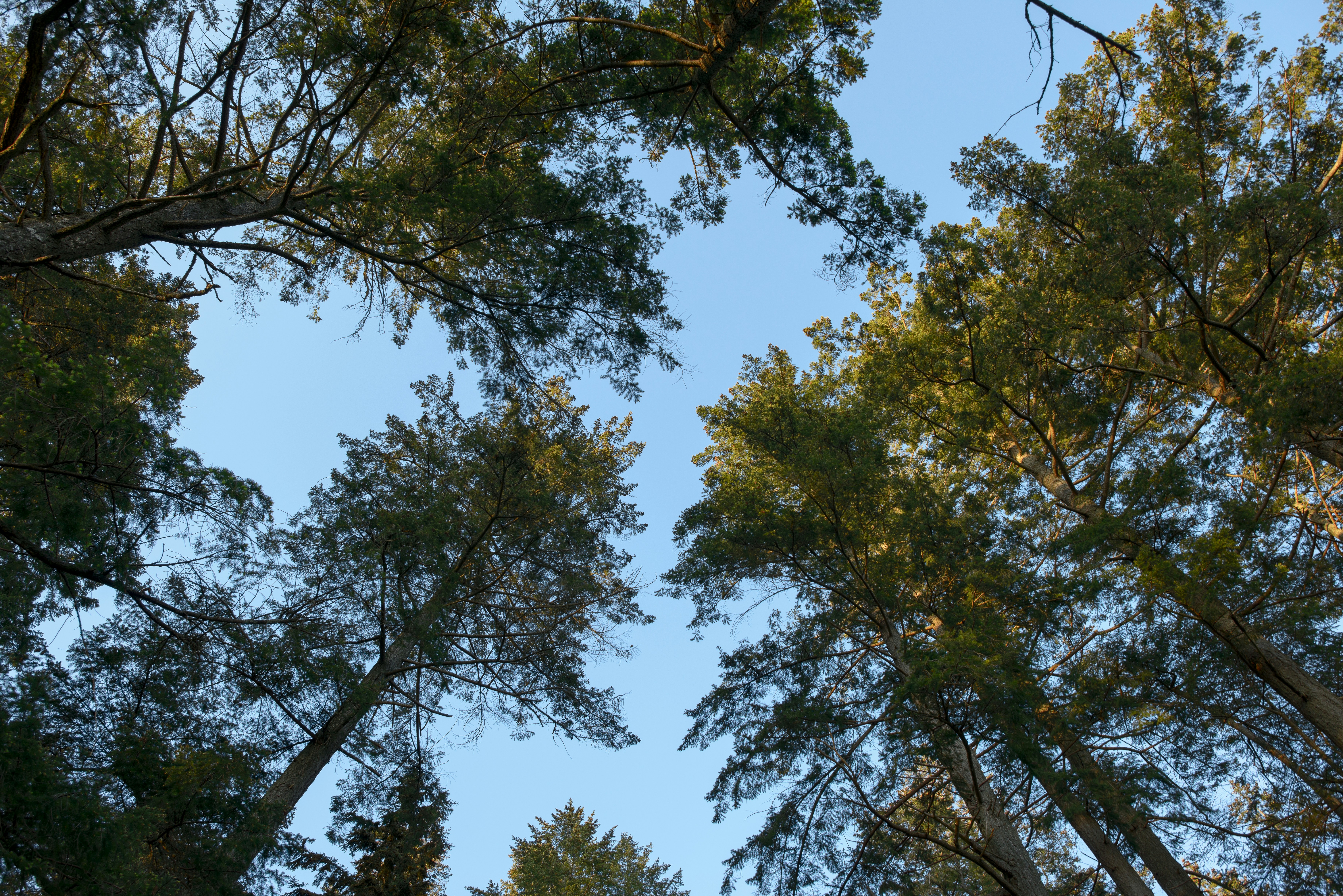 Photo by albertstoynov