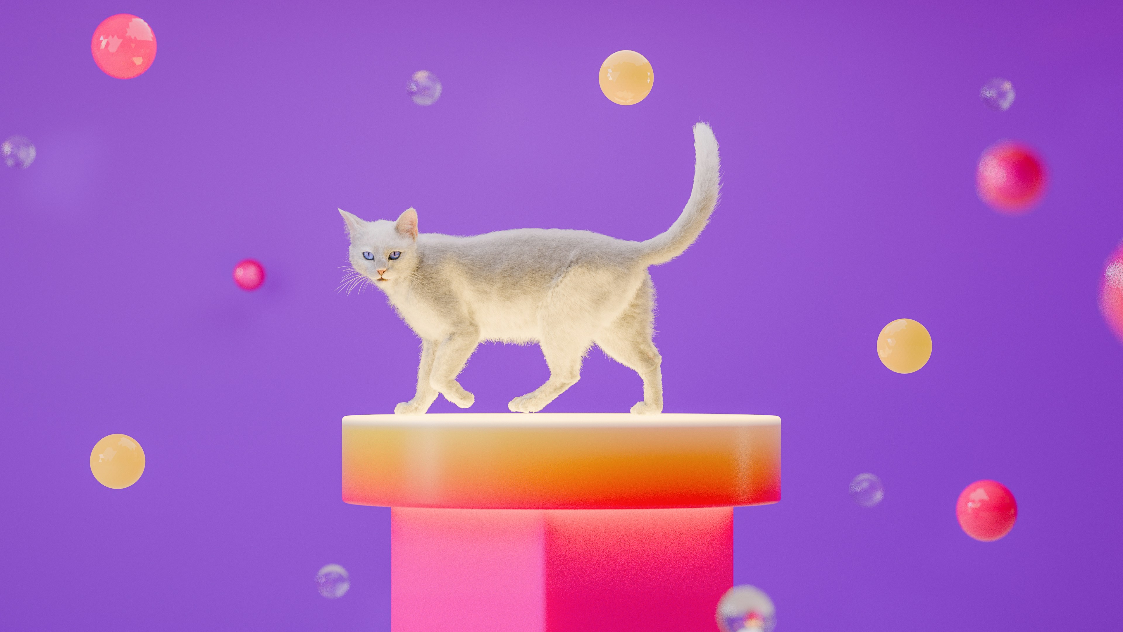 아이폰 카톡 테마 무료 키티 관련 이미지2