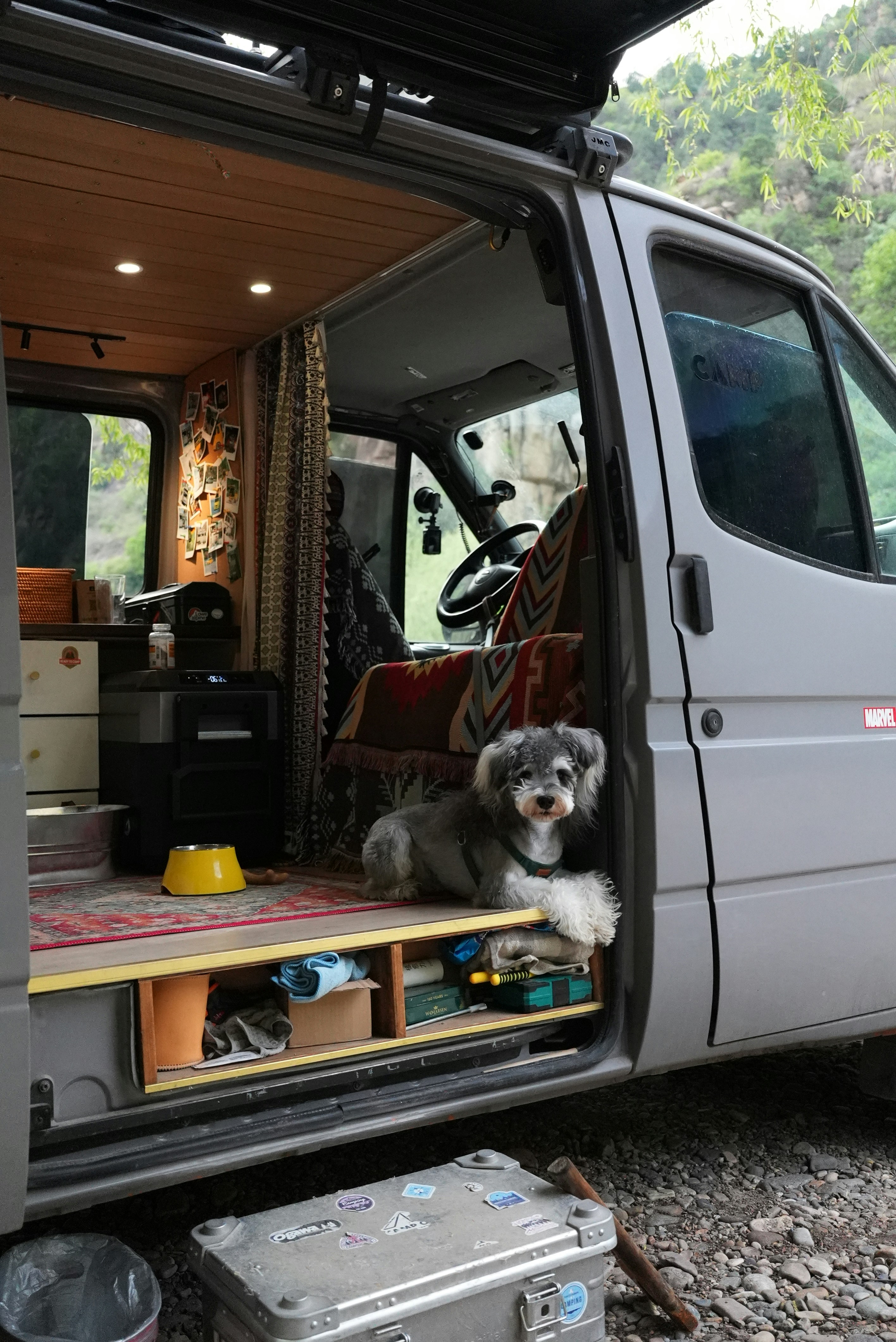 A cute dog relaxes inside a camper van.