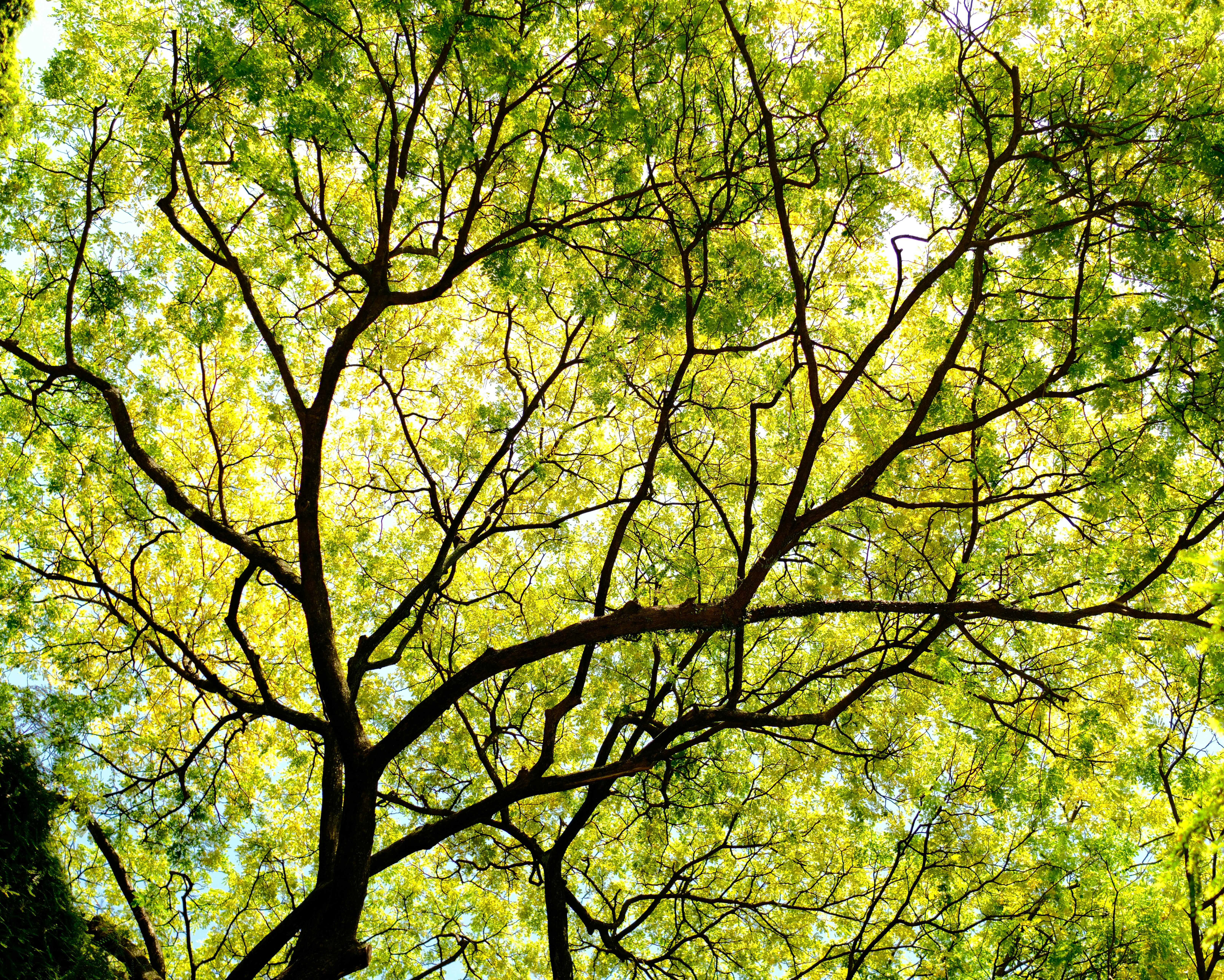 Photo by farnaz________