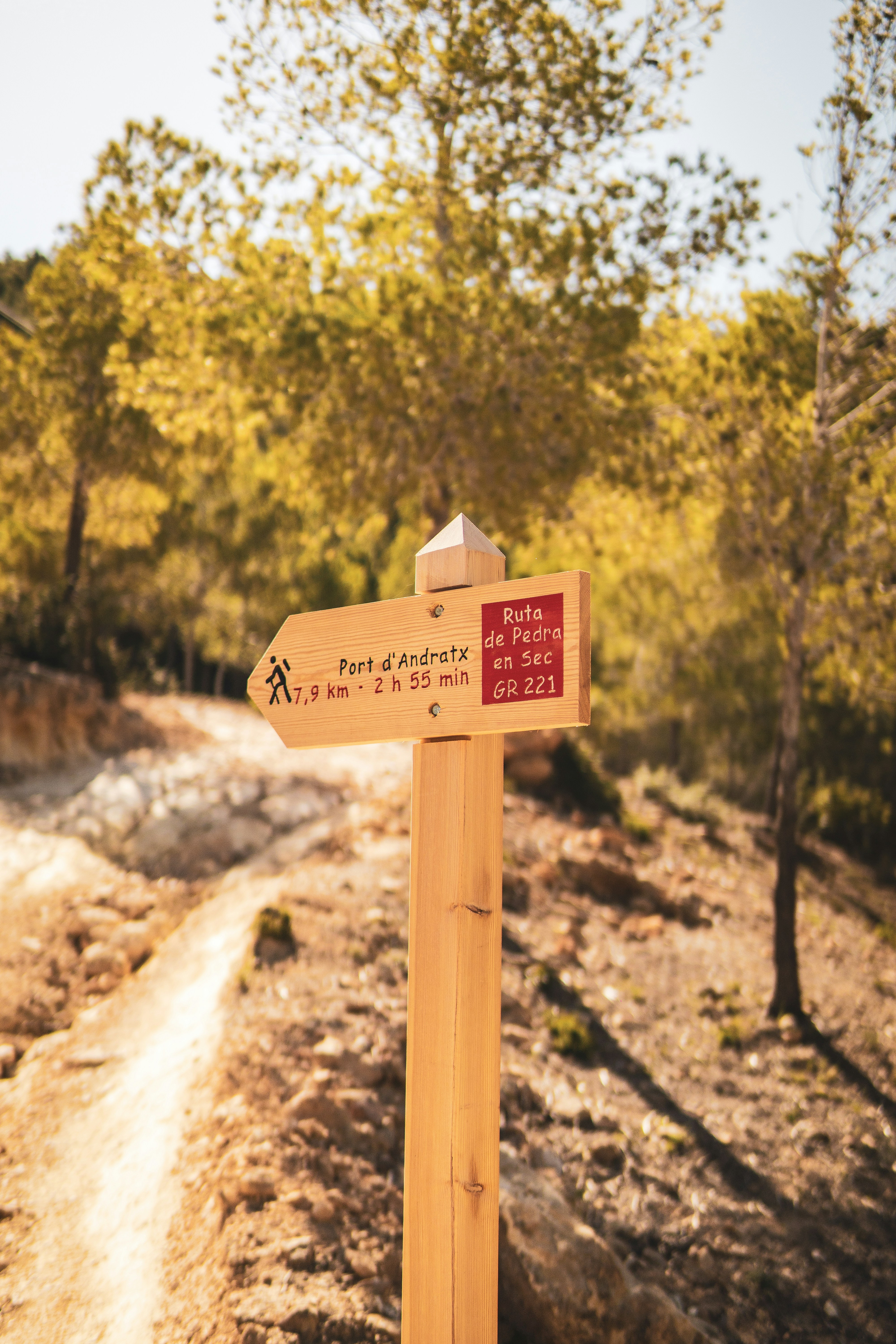 Wooden trail sign points the way in a forest.