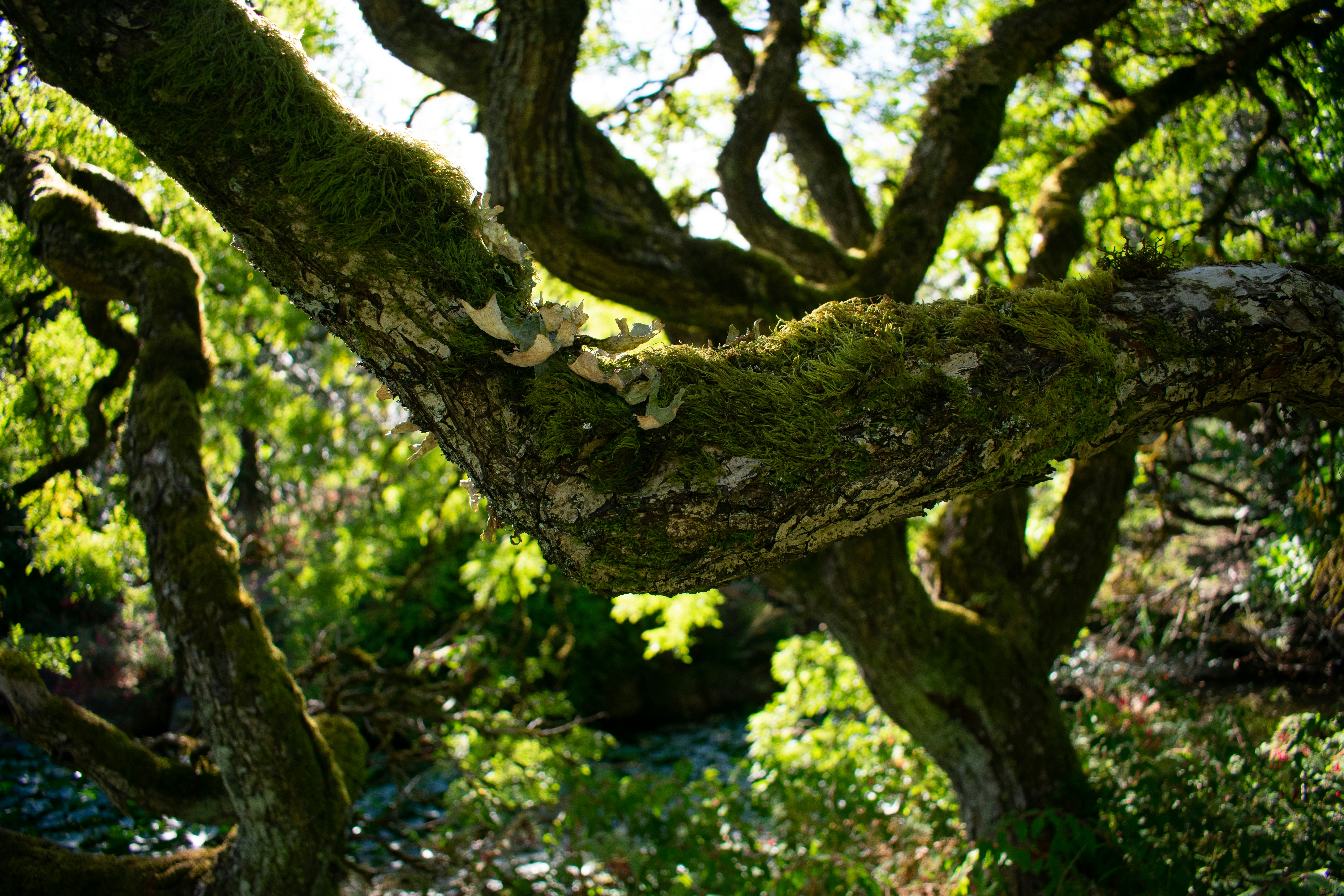 Photo by american_in_asia