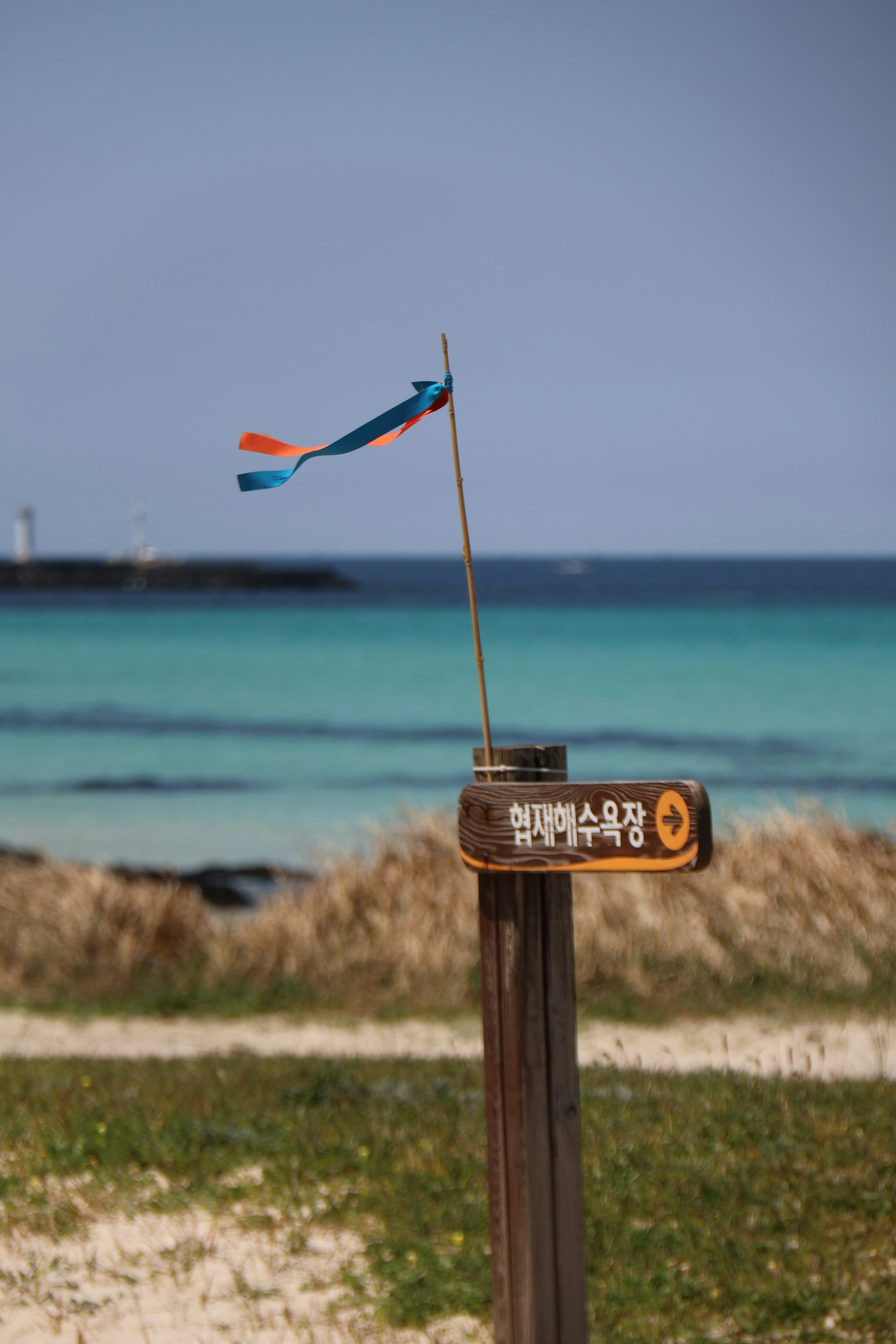 Signpost with a flag points towards the ocean.