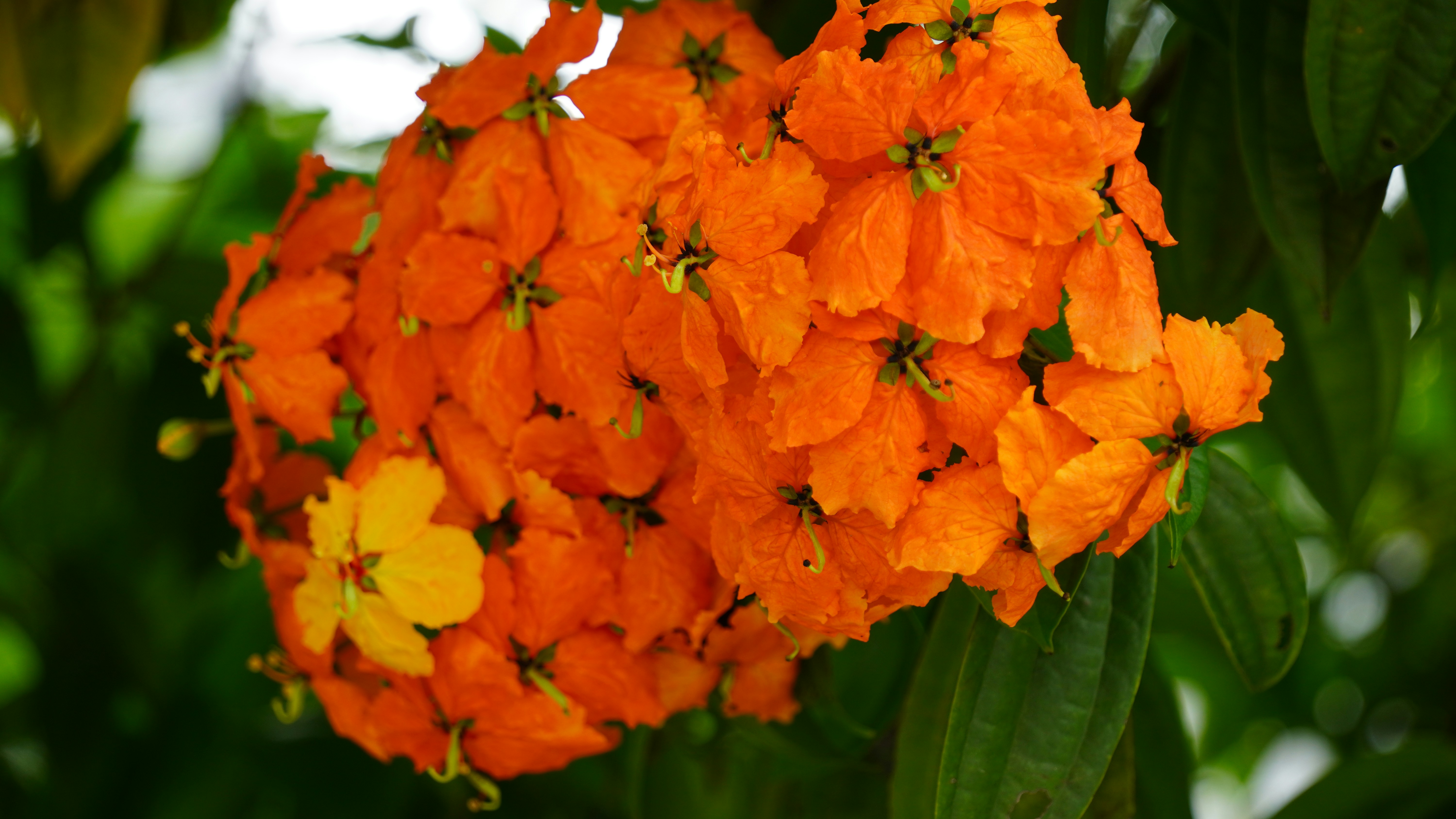 Photo by ridhamsupriyanto