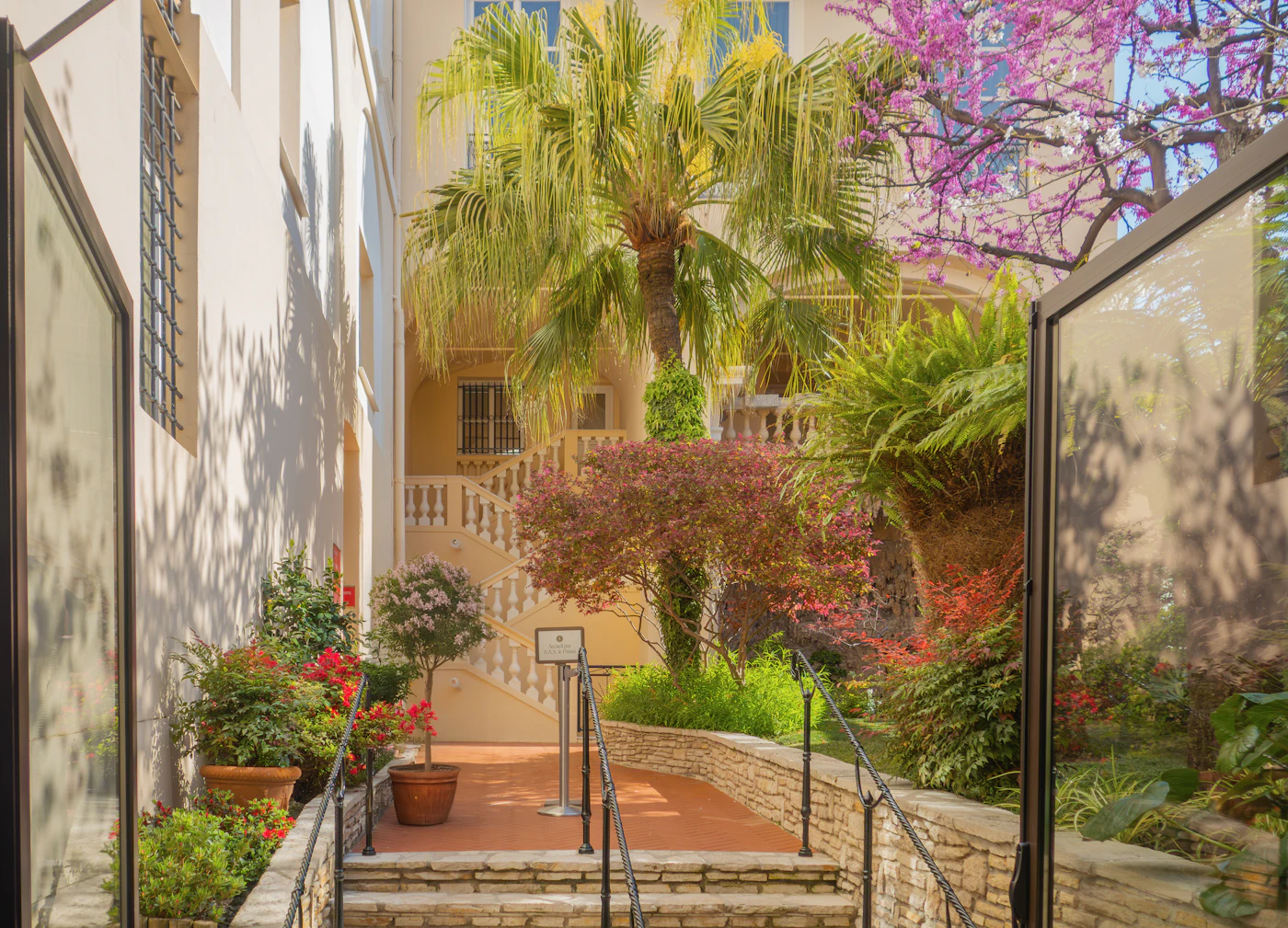 A sunlit courtyard garden with layered plantings set against pale stone architecture