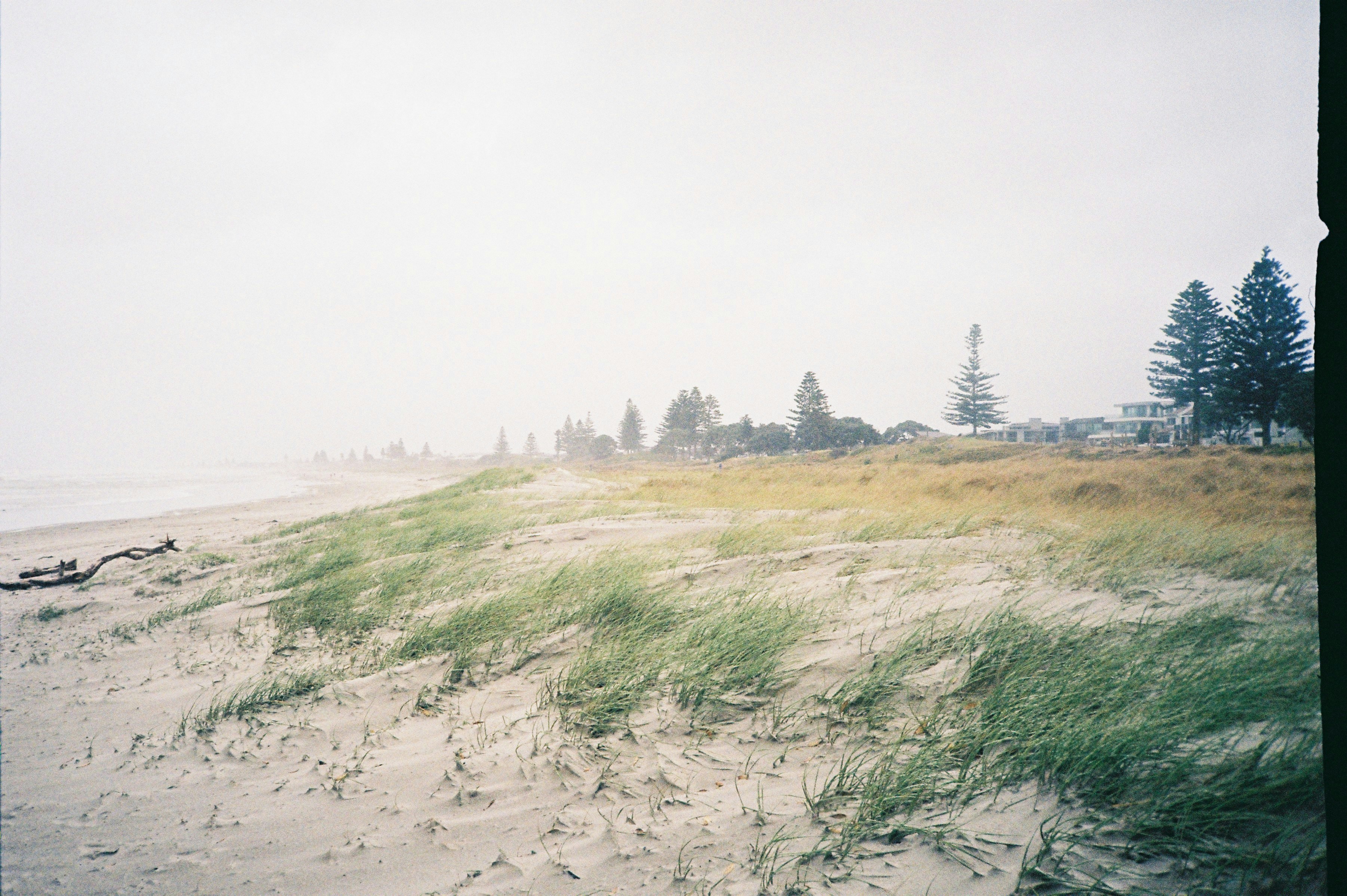 Photo of Tauranga