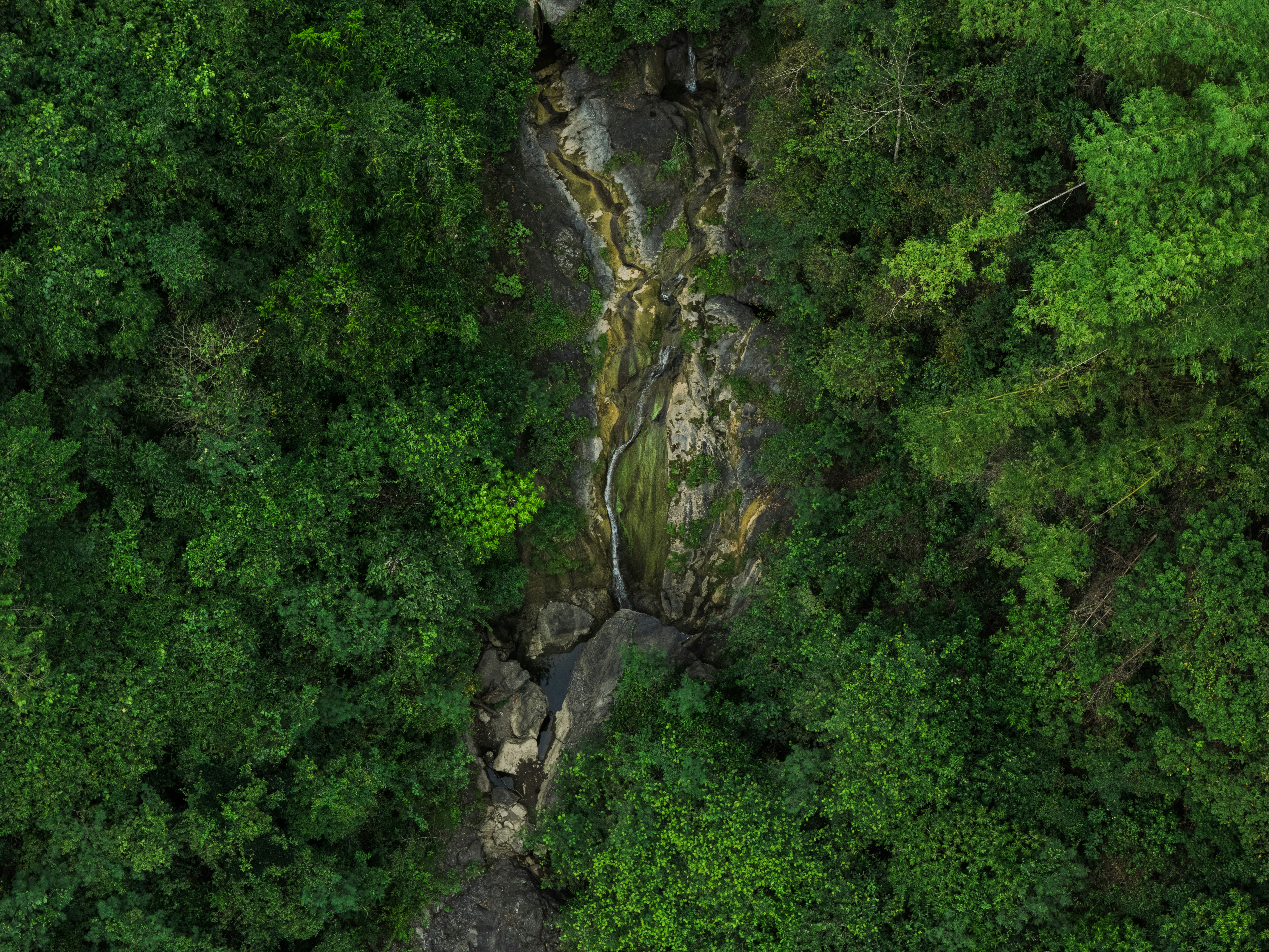 A waterfall flows through lush green trees.