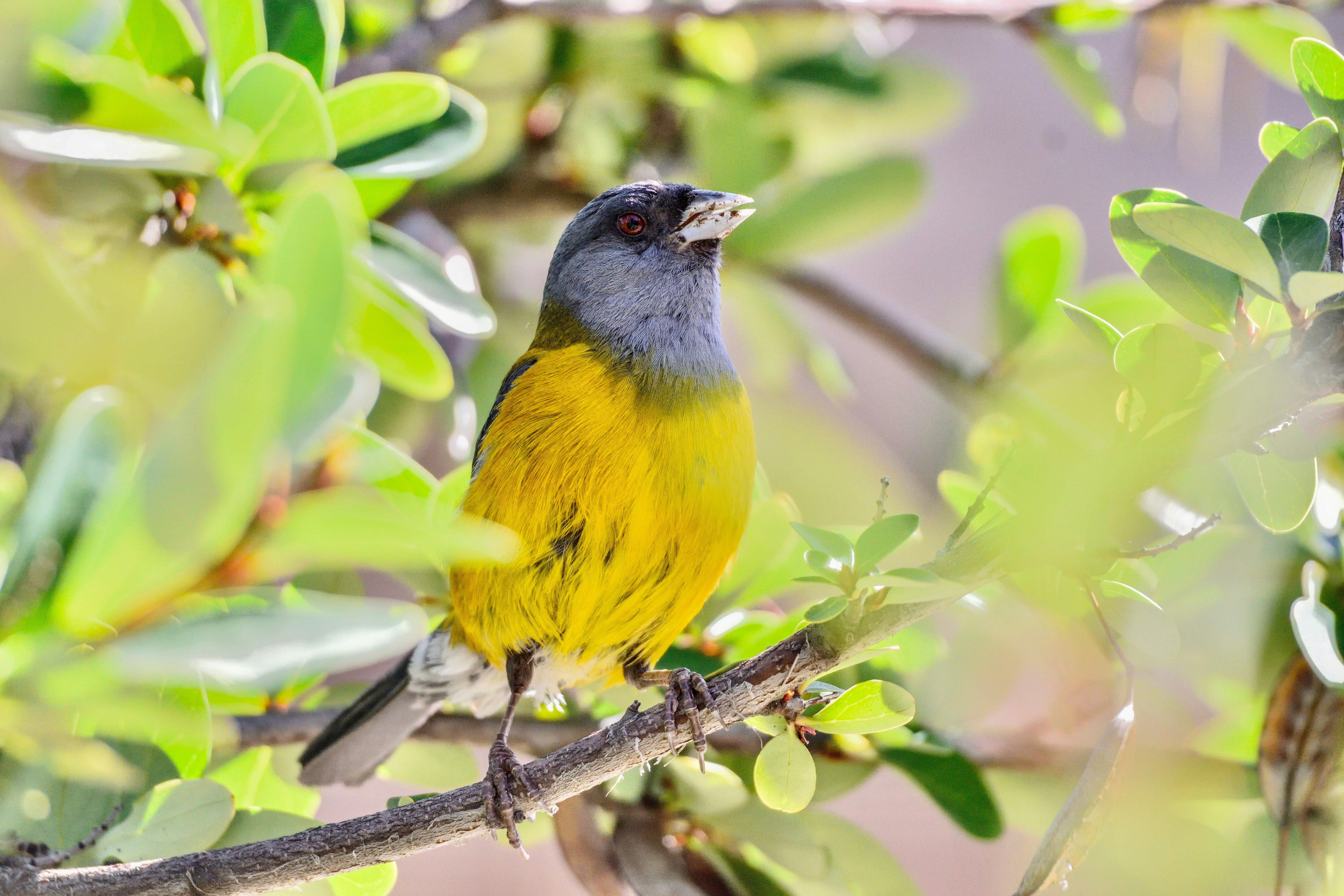 Photo by javiera_neira_f