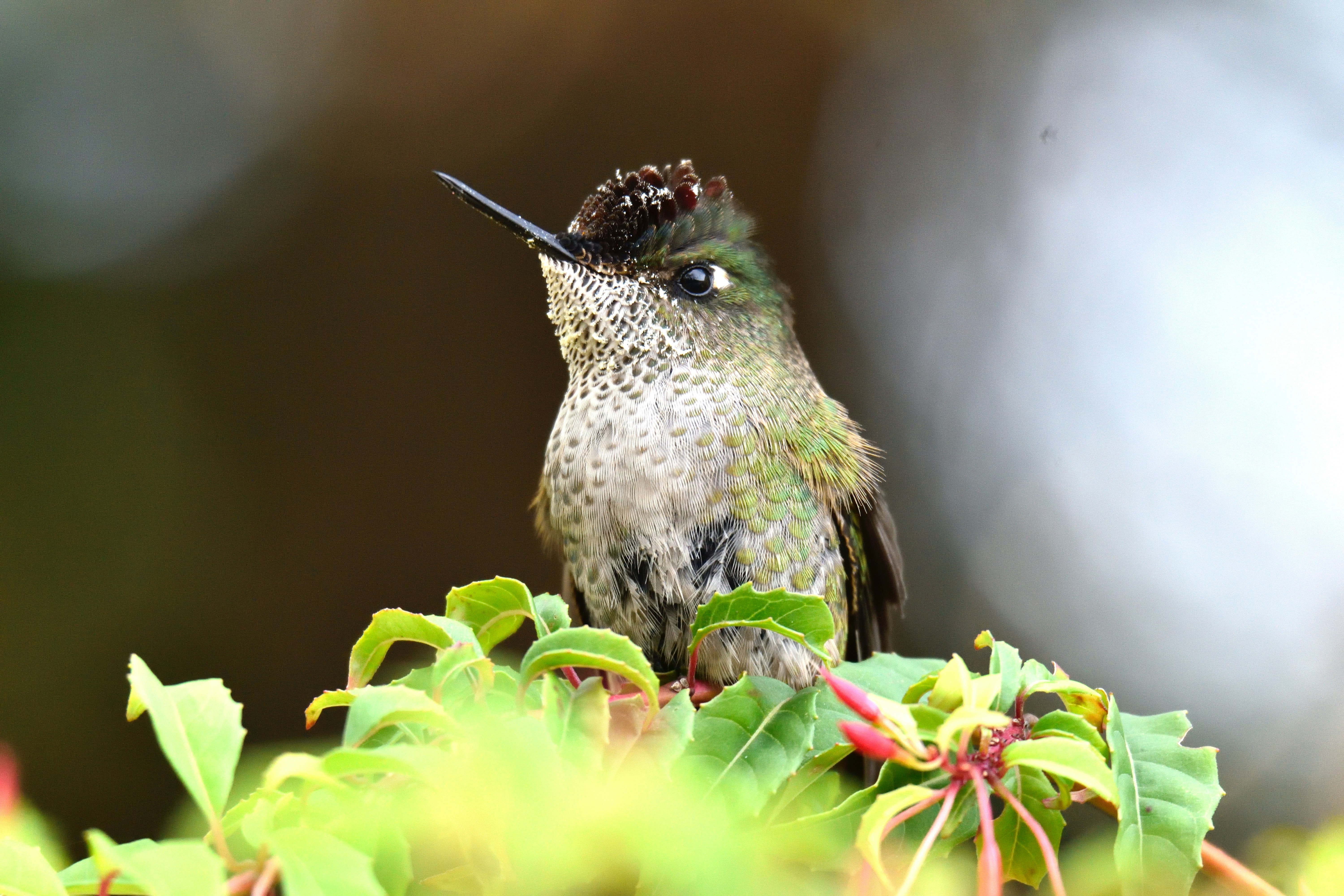 Photo by javiera_neira_f