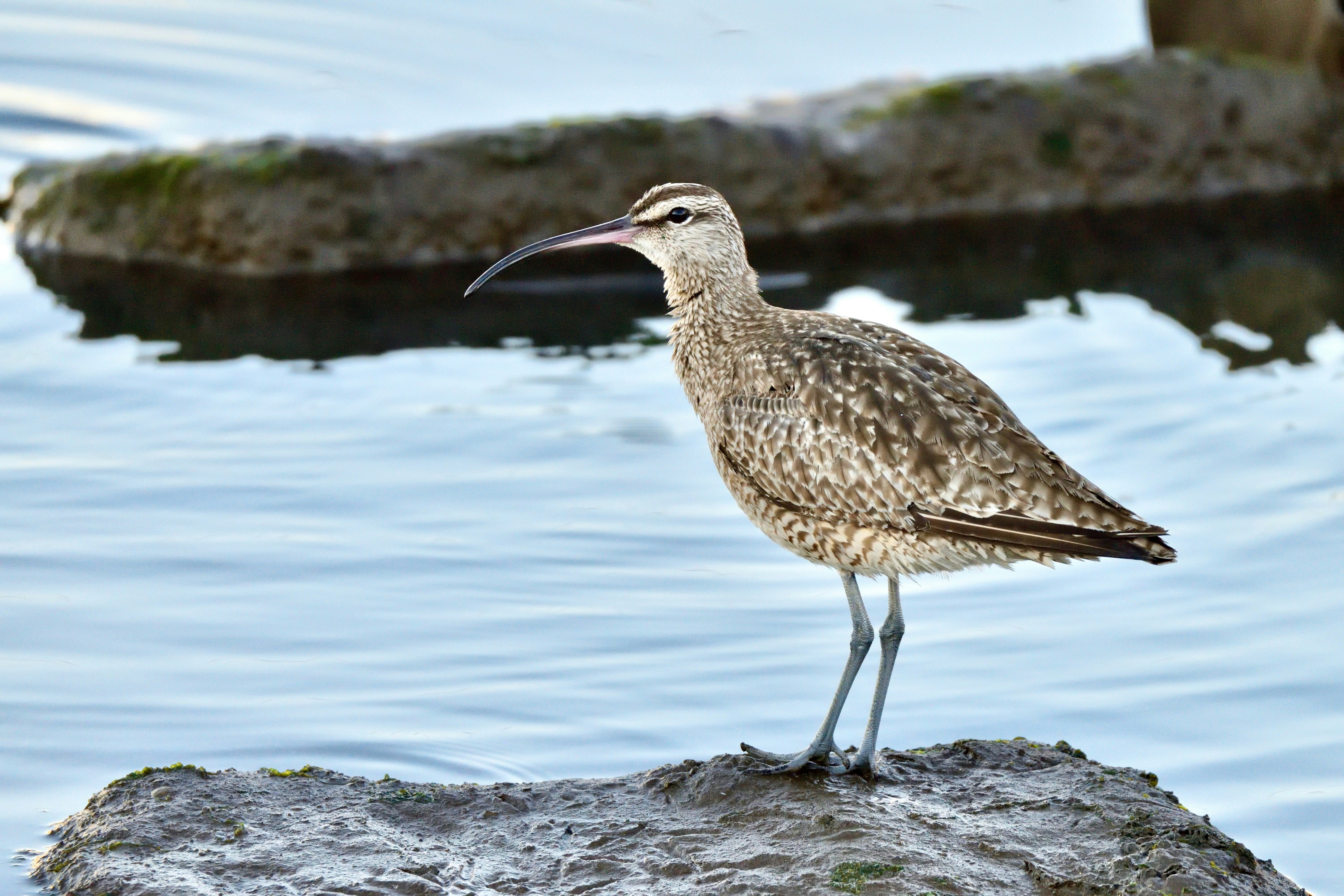 Photo by javiera_neira_f