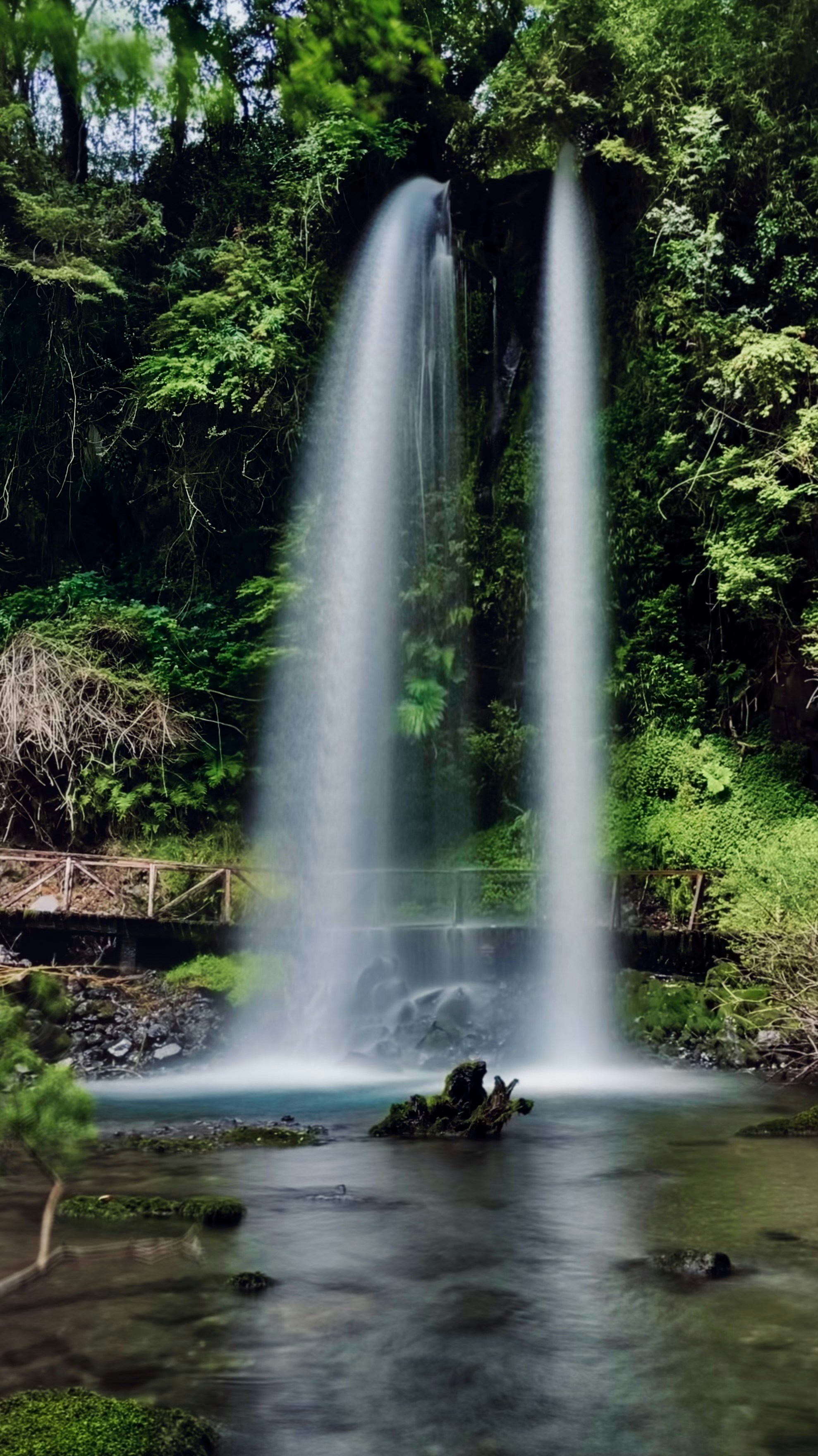 Photo by javiera_neira_f