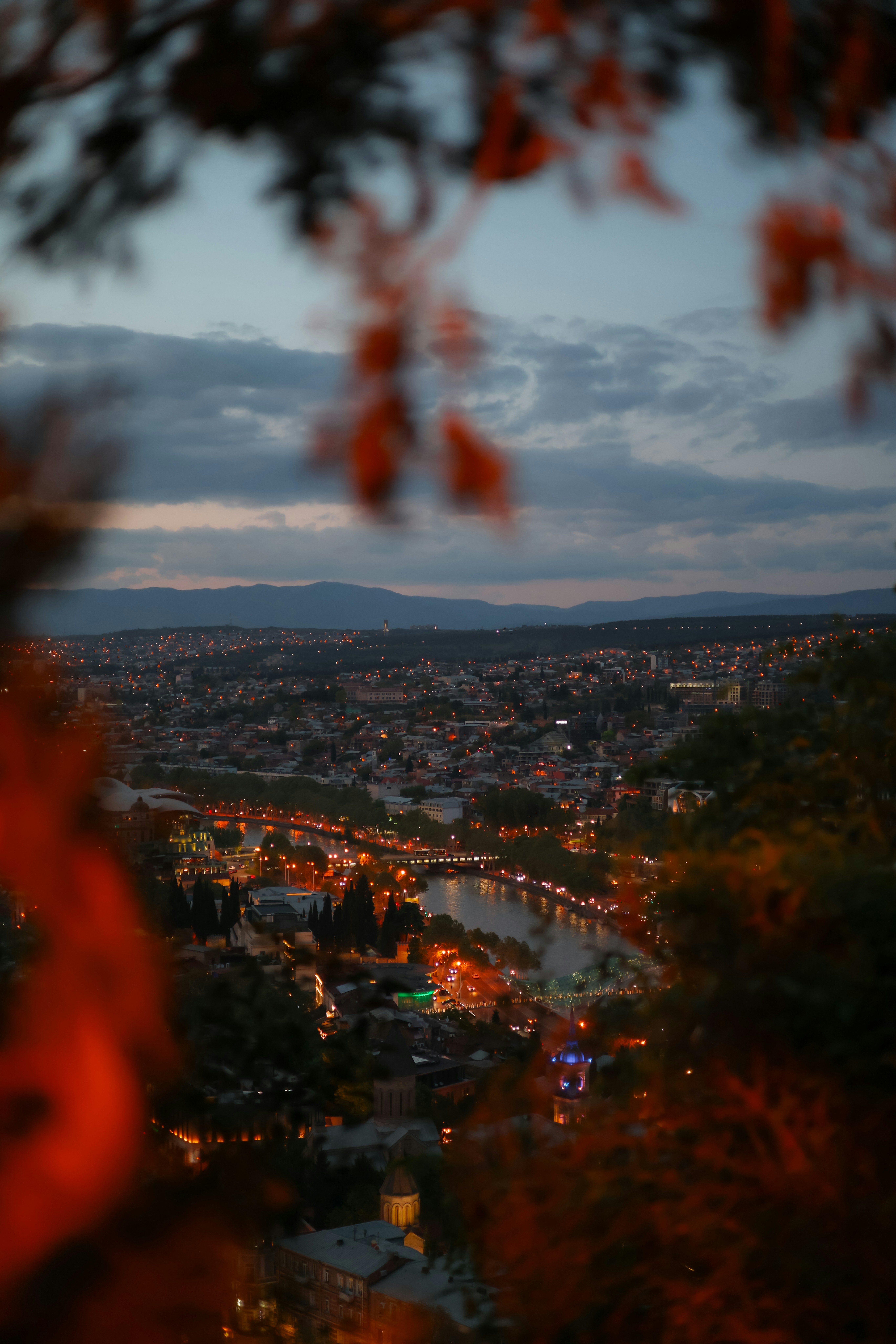 Cityscape at dusk framed by orange foliage.
