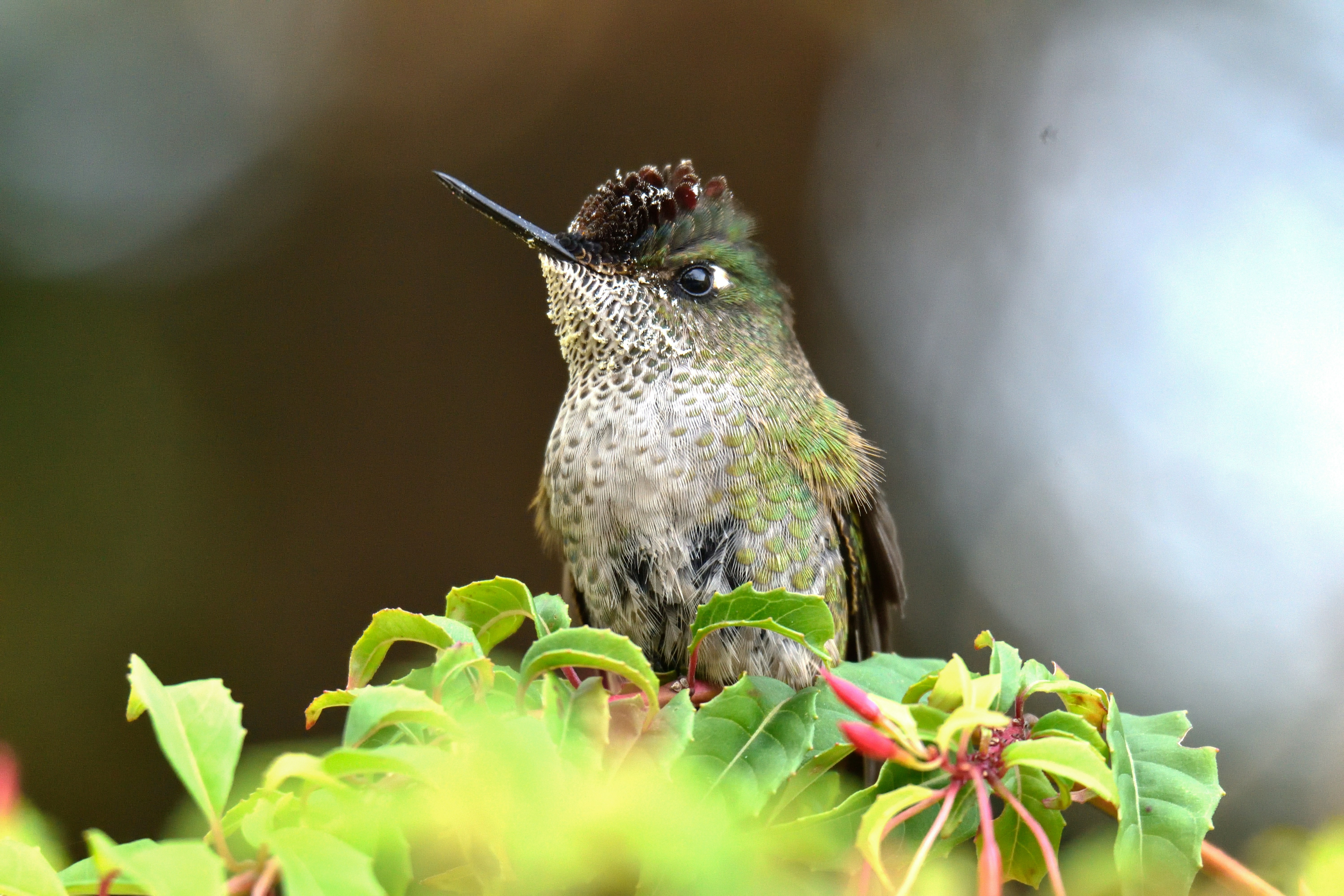 Photo by javiera_neira_f