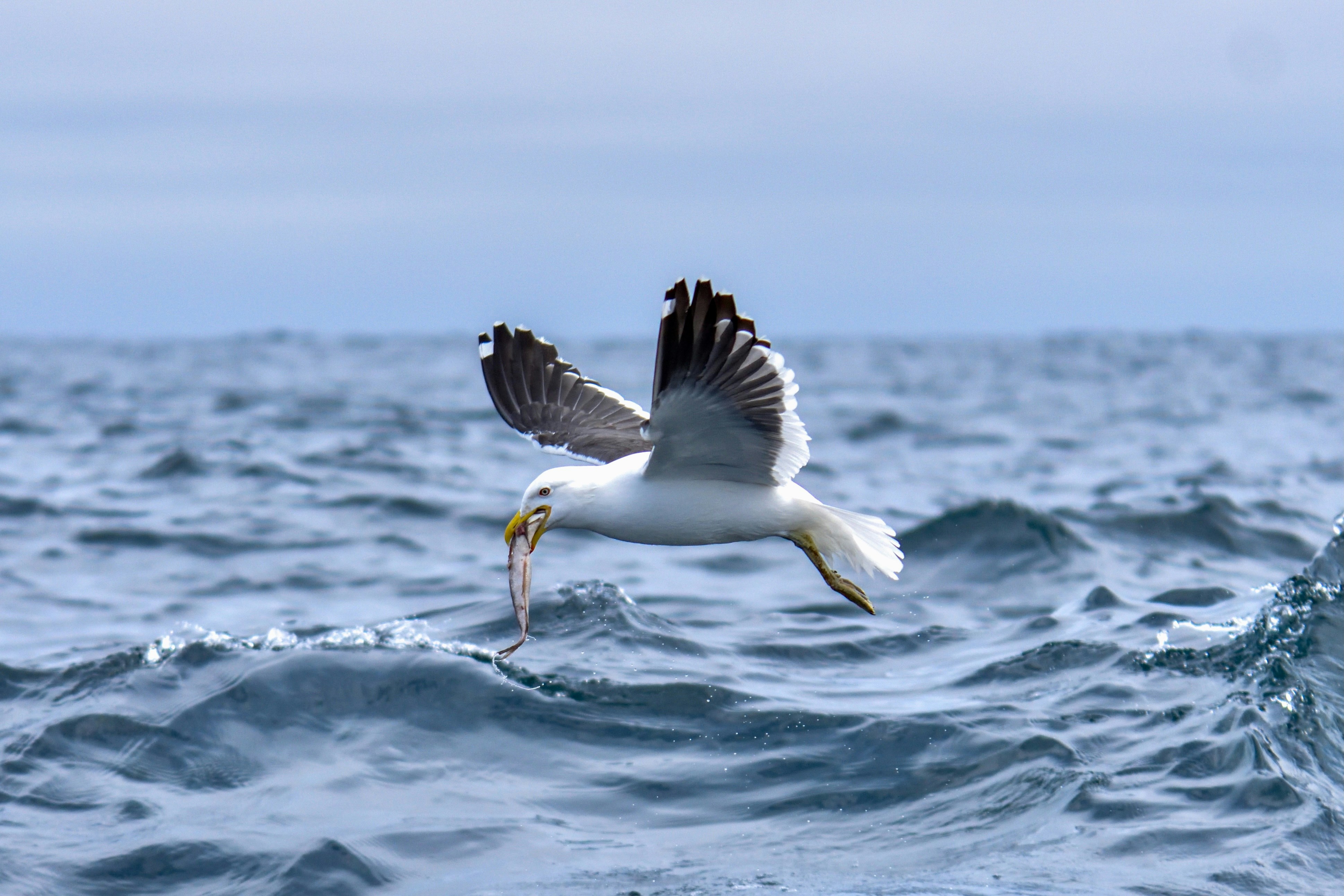 Photo by javiera_neira_f