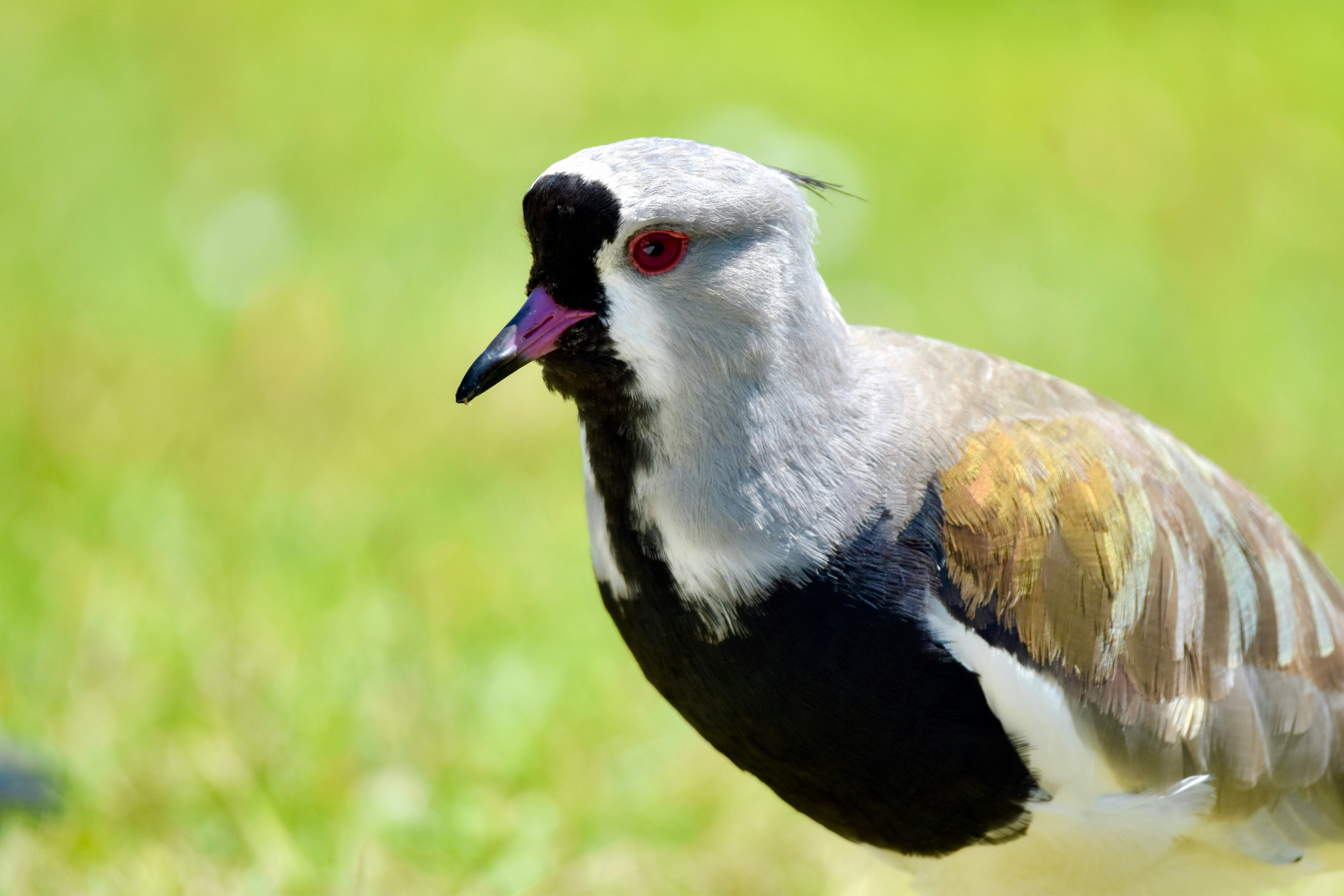 Photo by javiera_neira_f