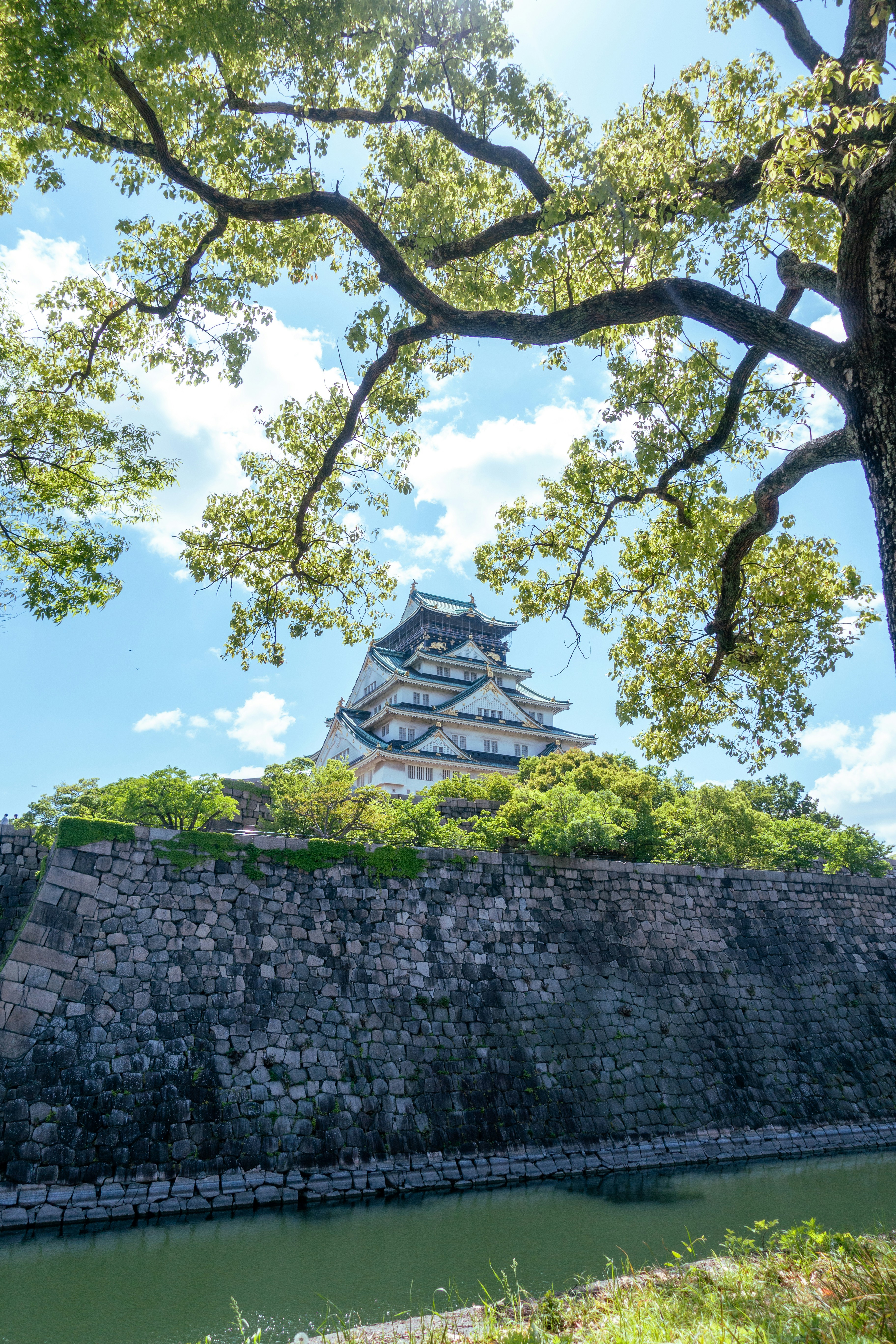 Osaka castle appears amidst lush greenery.