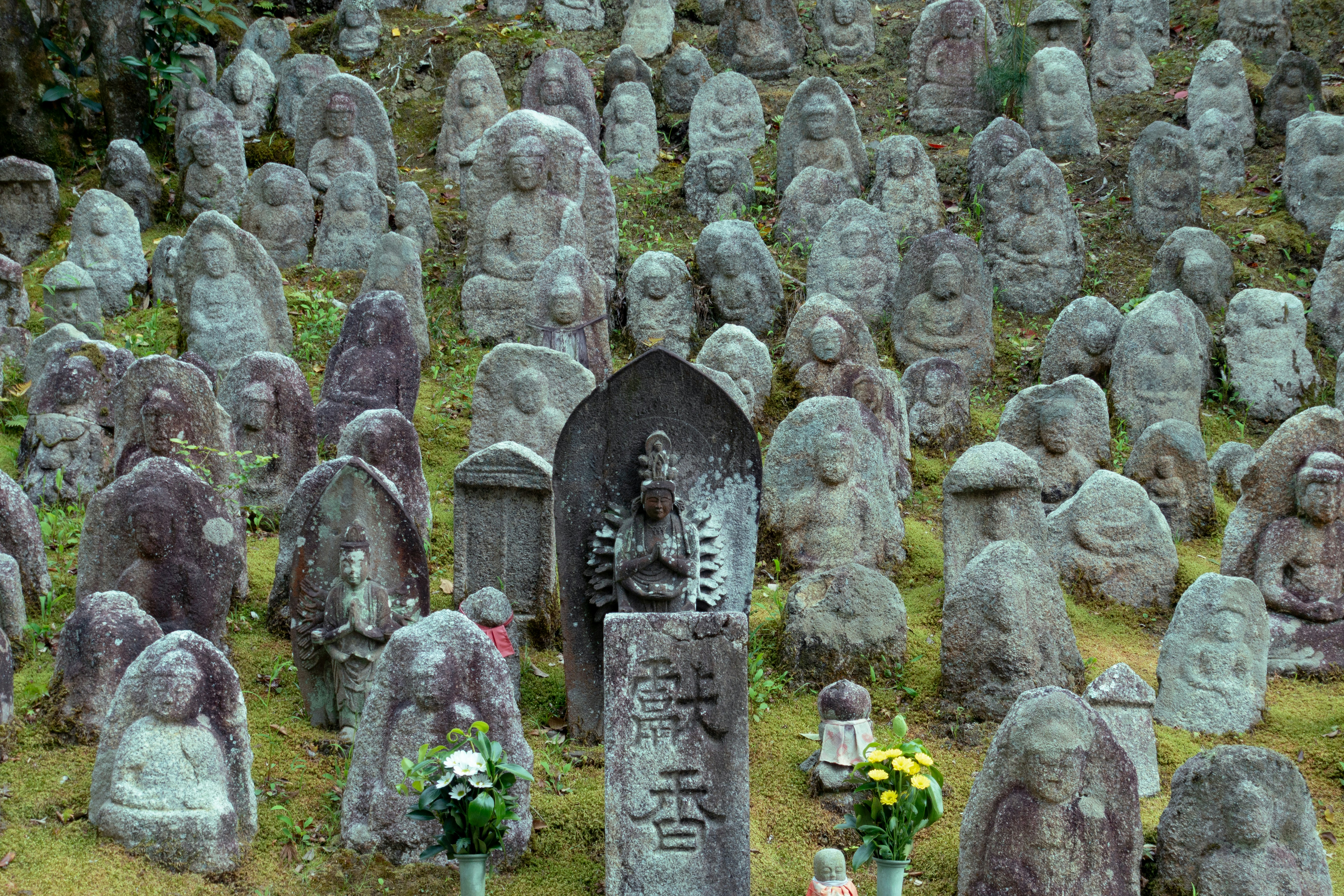 逮捕後の哲史さんと淡路恵子の最後の対面