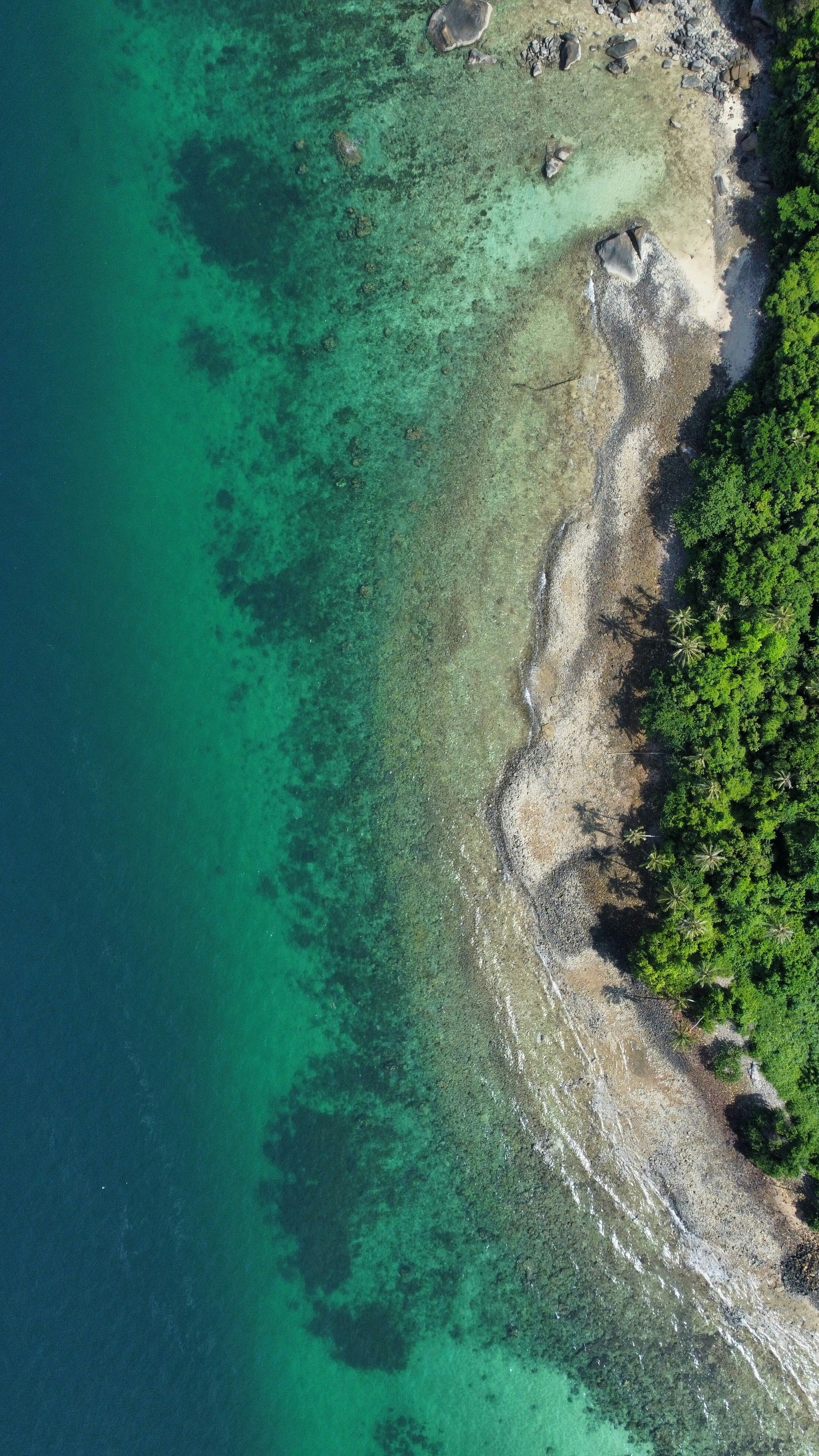 Photo by leslie_wong