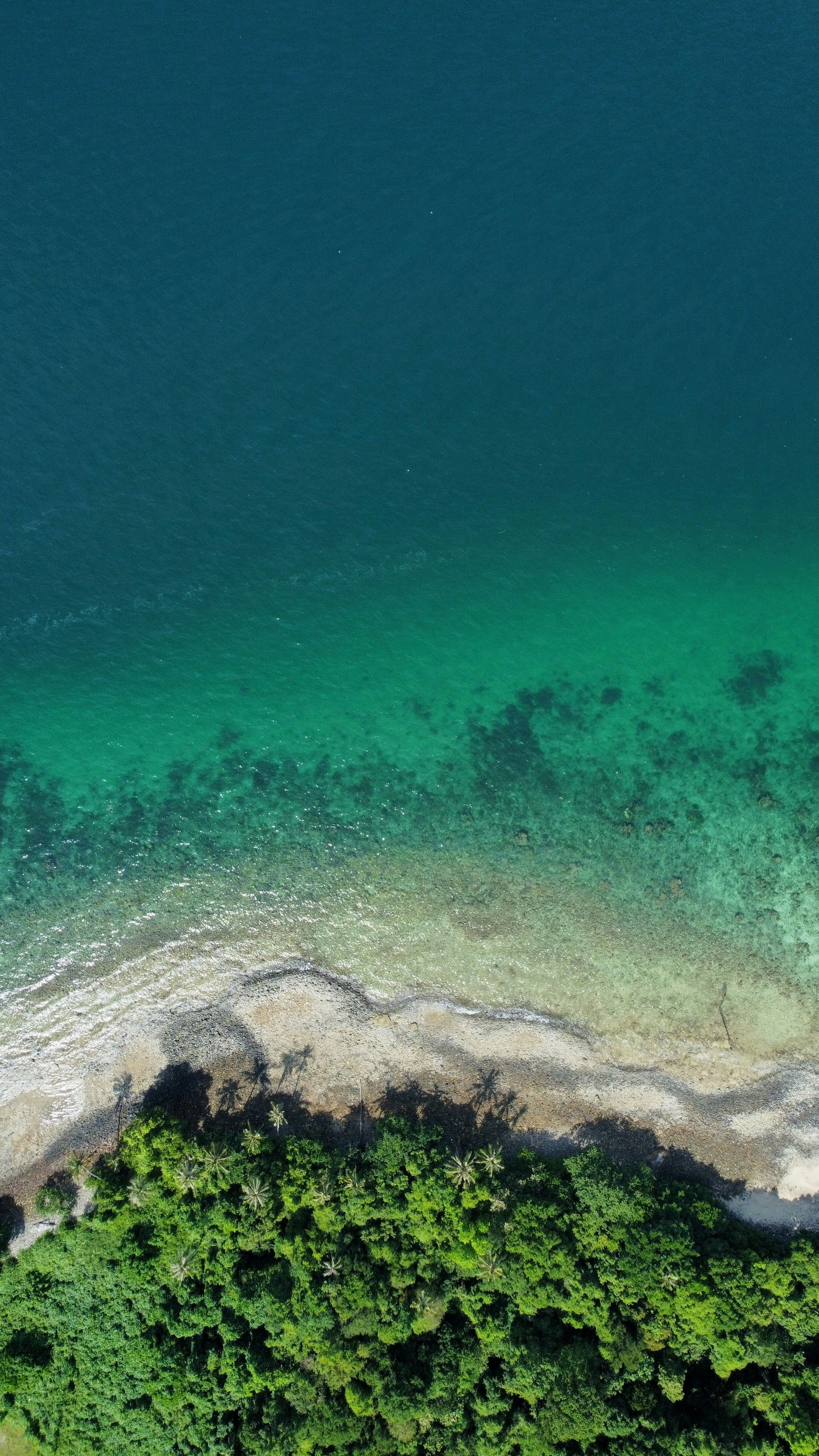 Photo by leslie_wong