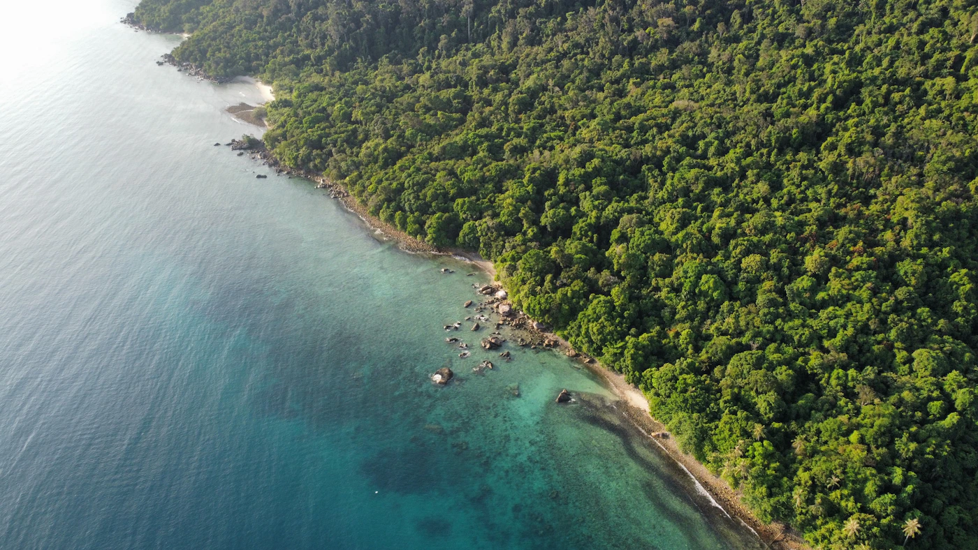 Lush tropical coastline and blue sea at Tioman Island, Malaysia