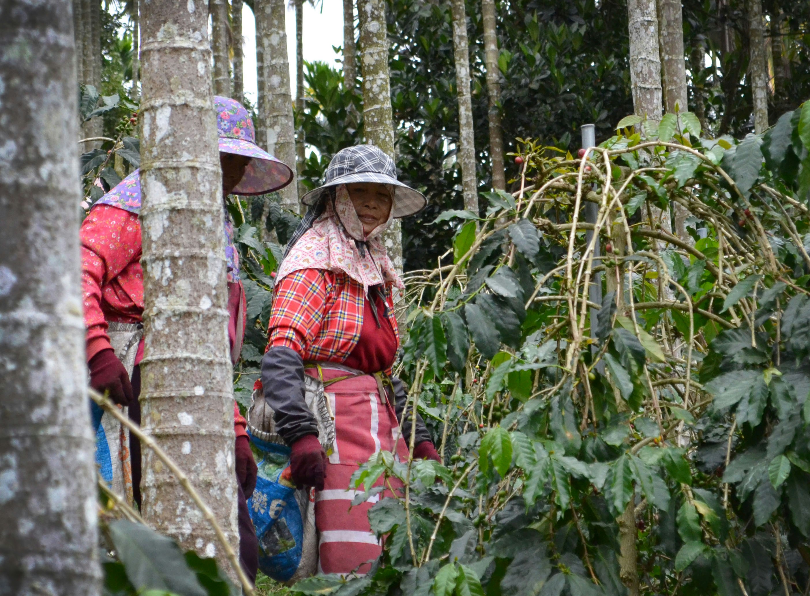 Photo by l_glazunova