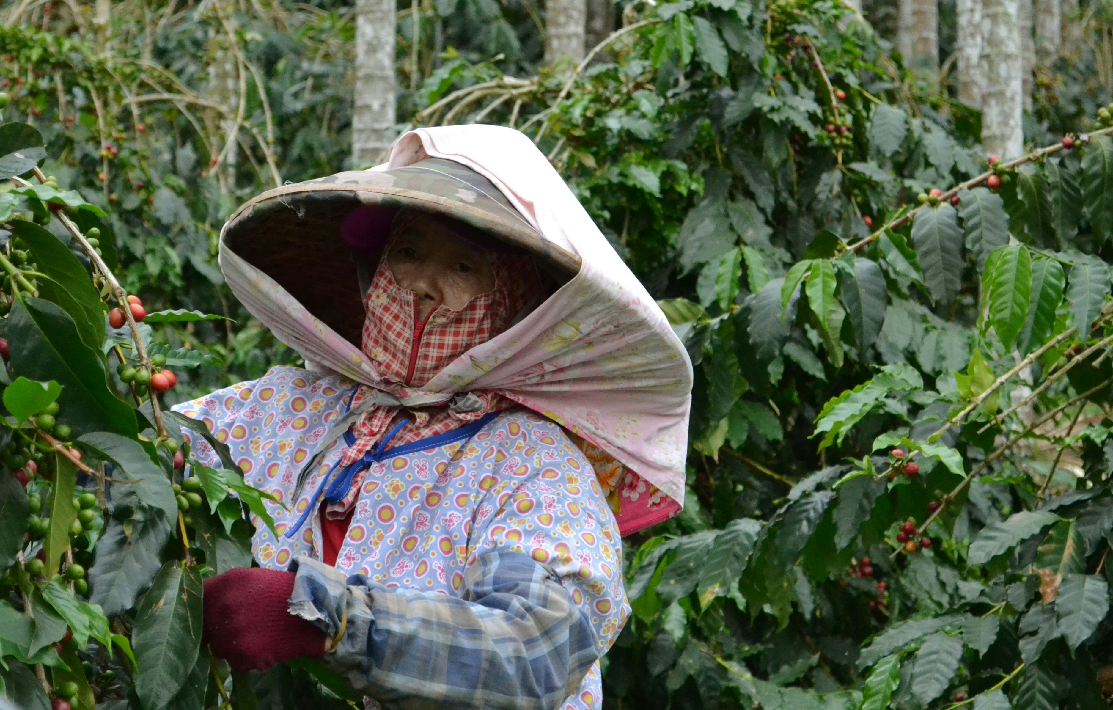 Photo by l_glazunova