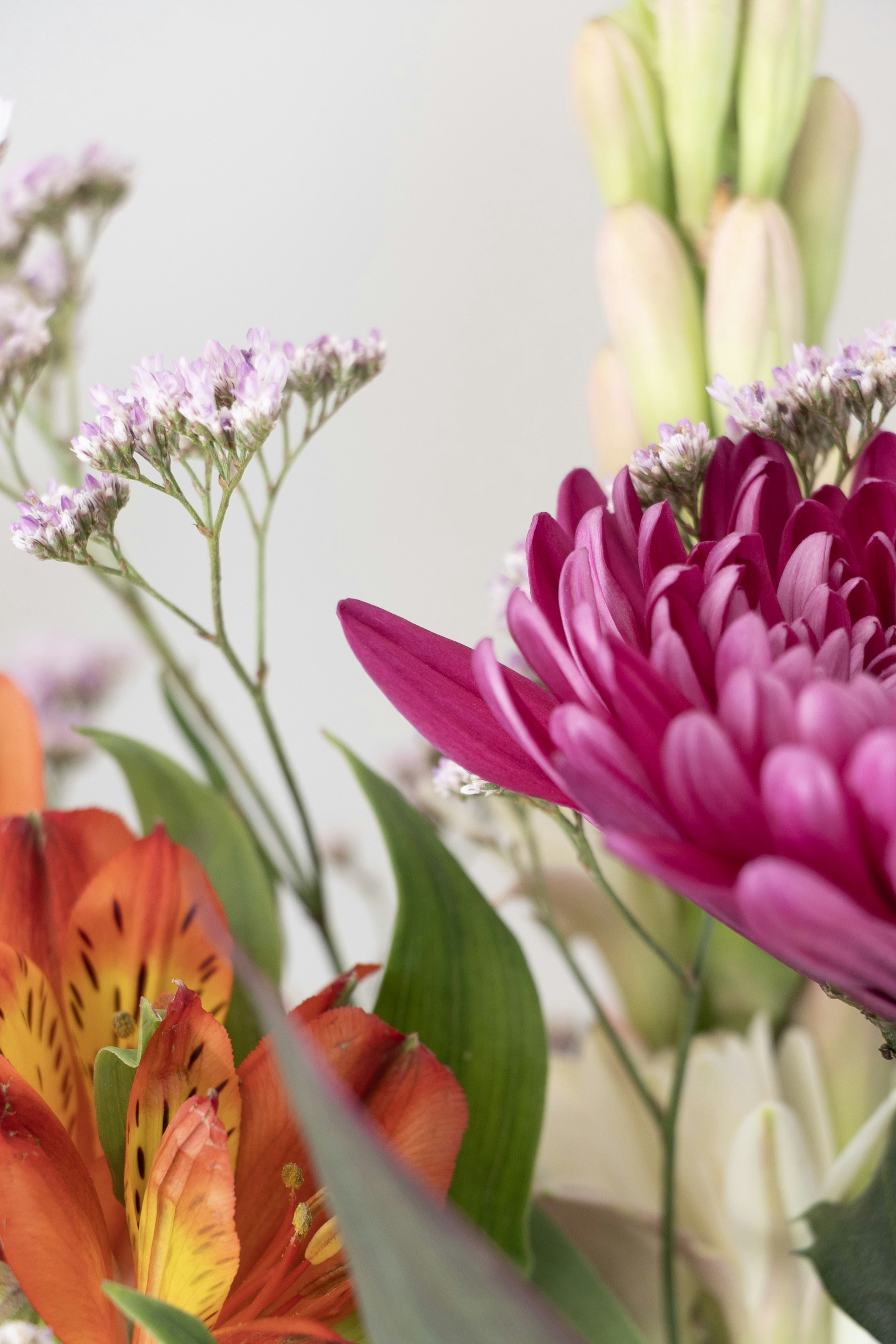 Photo by kiaramartin