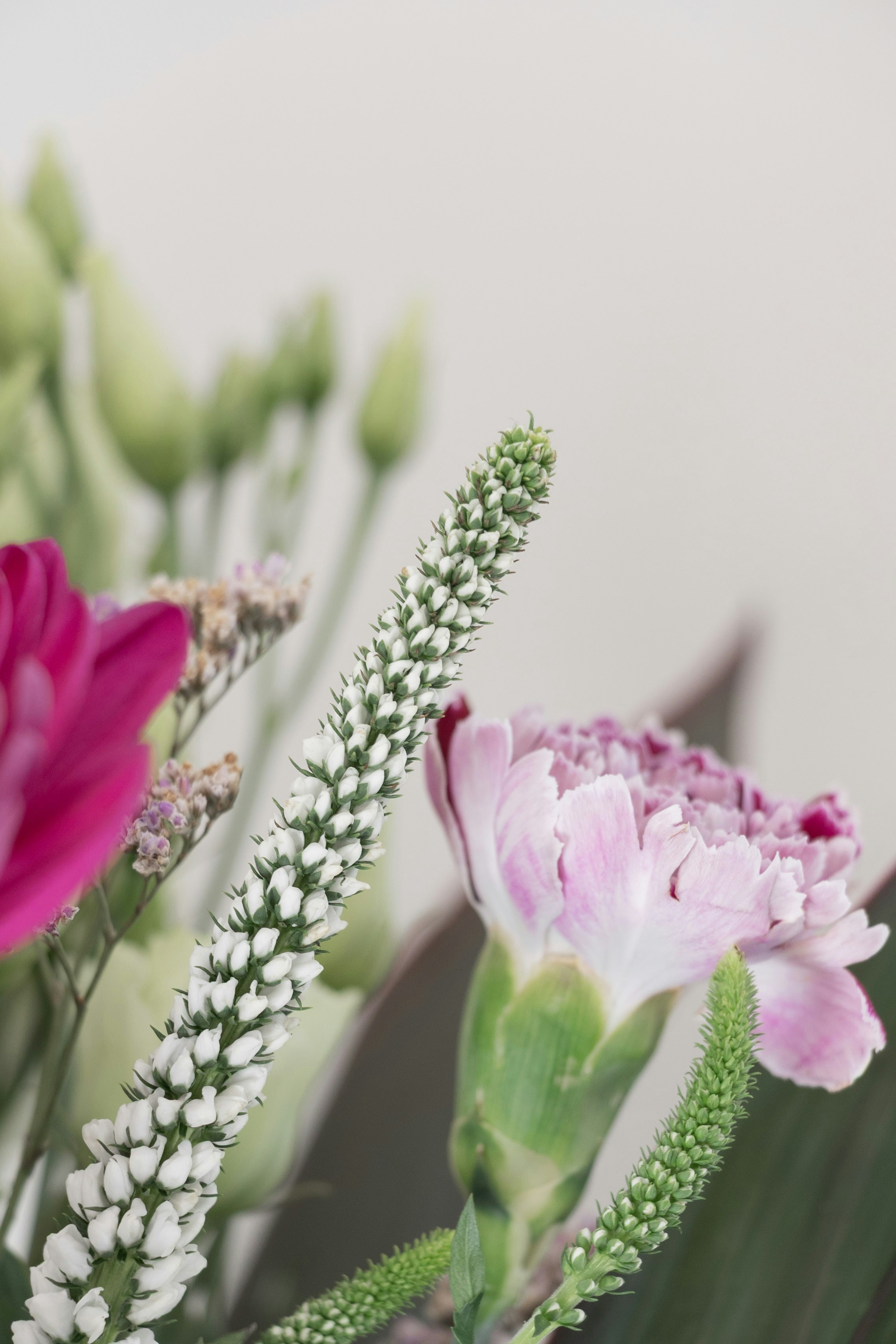 Photo by kiaramartin