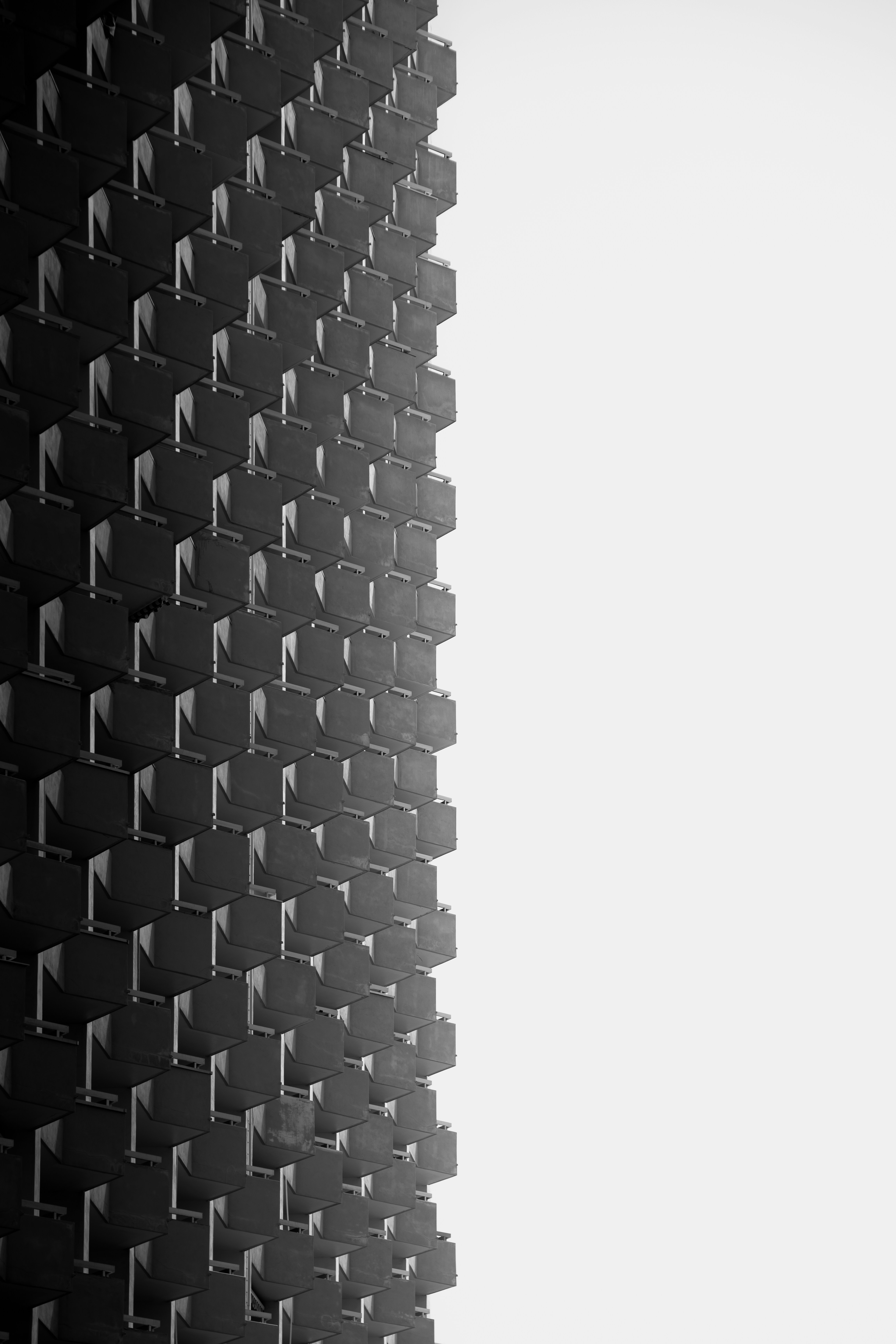 Photo by infernisvox