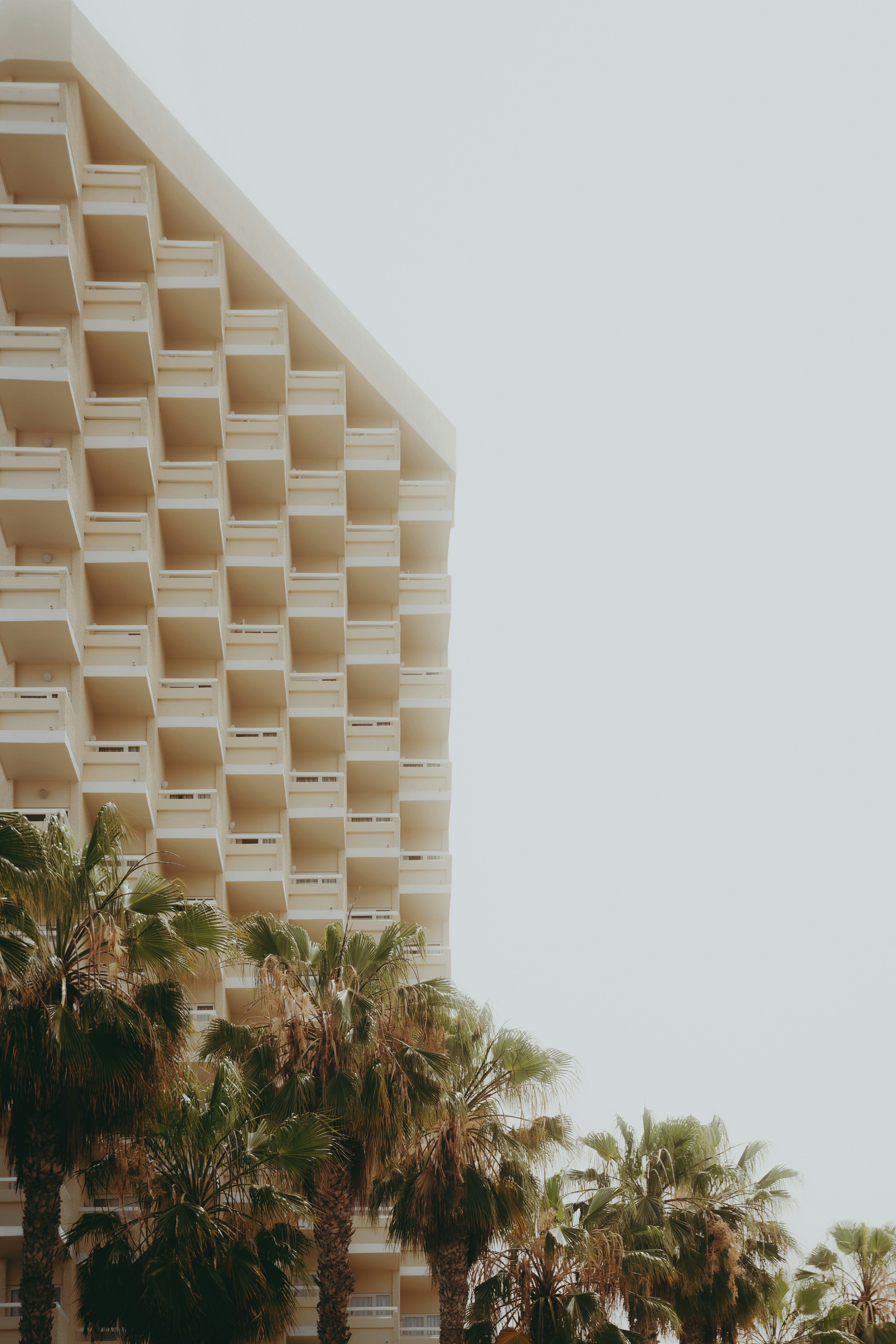 Photo by infernisvox