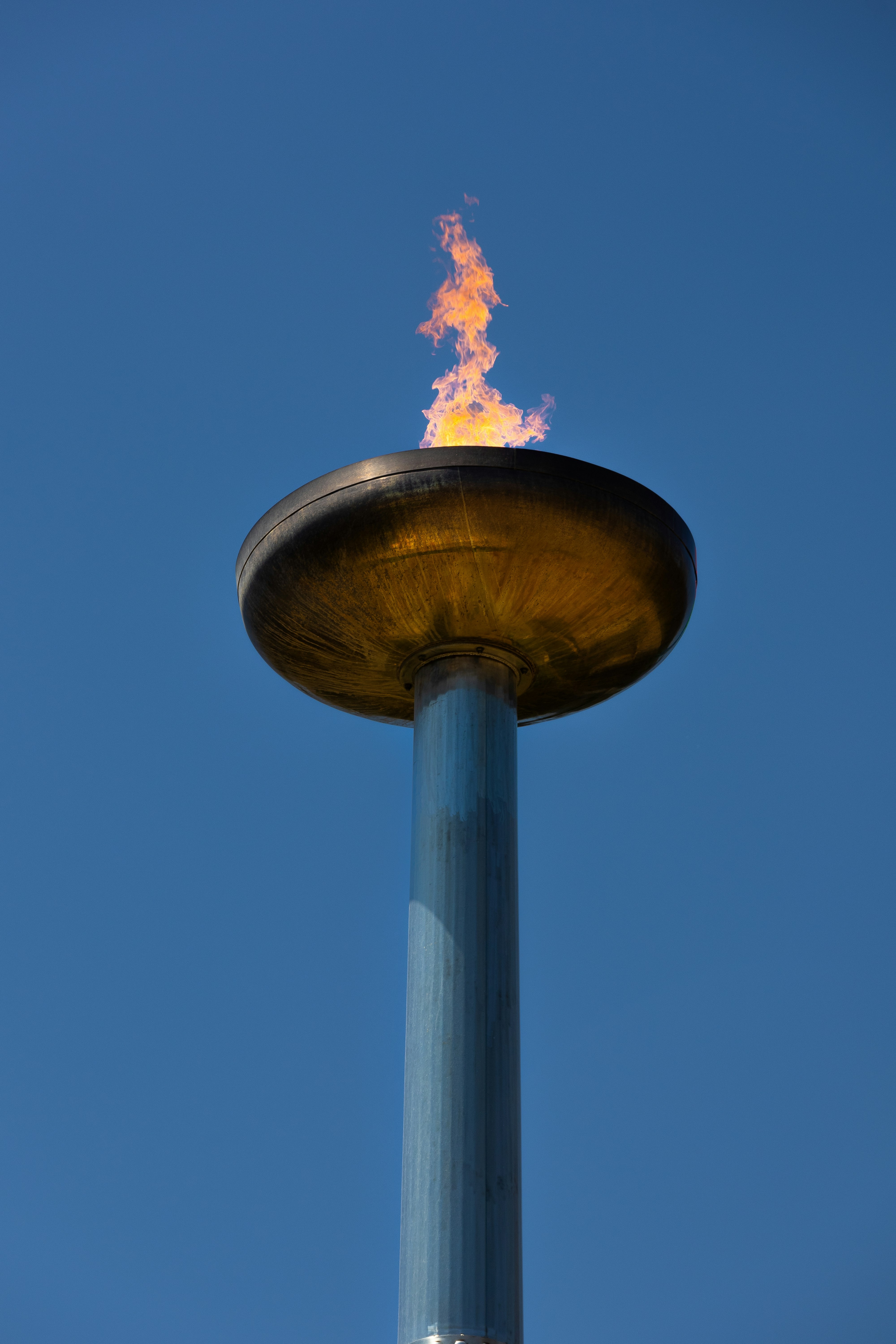A lit torch burns brightly against the blue sky.